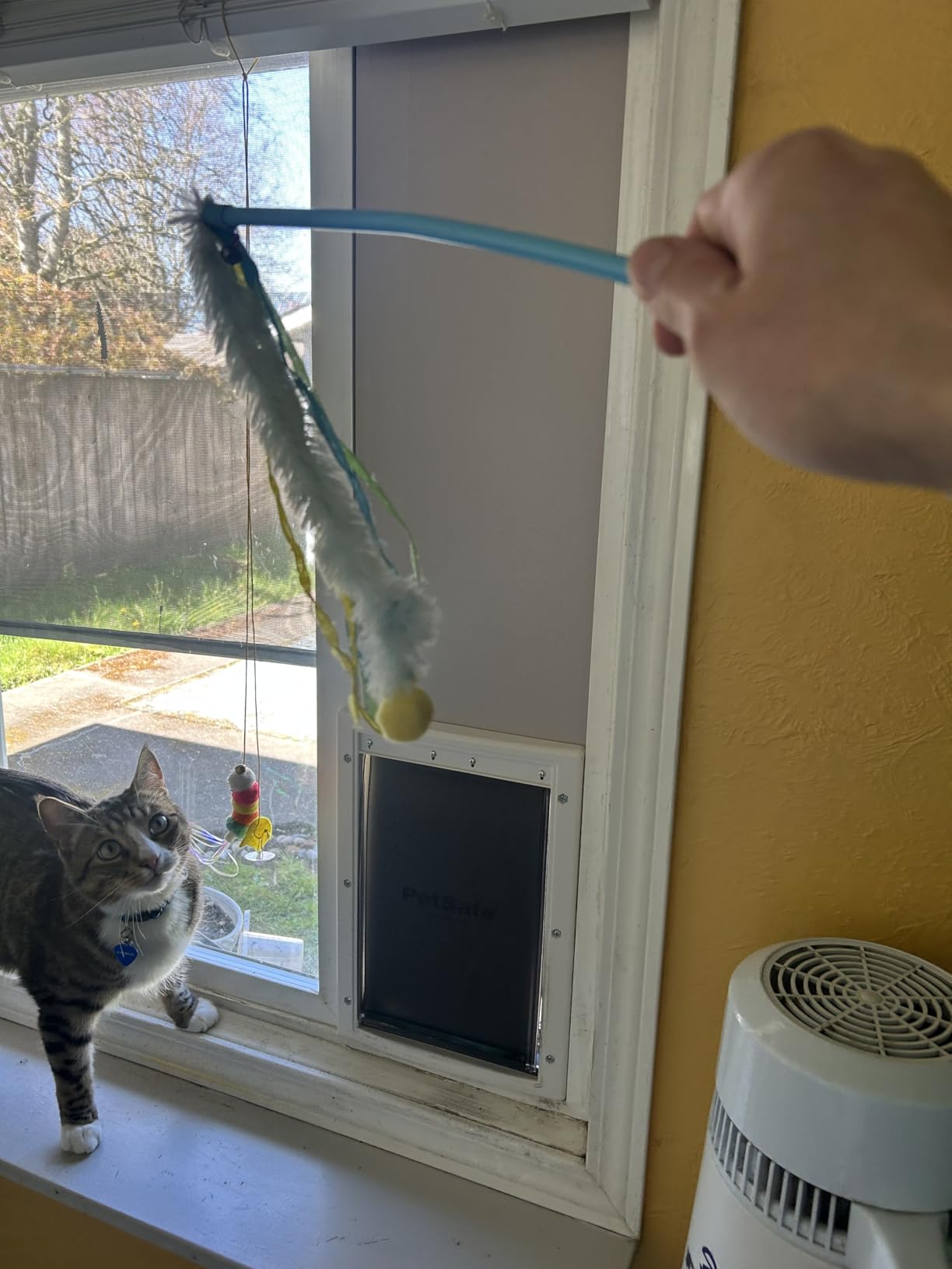PetSafe Extreme Weather Plastic Pet Door, Small customer photo 1