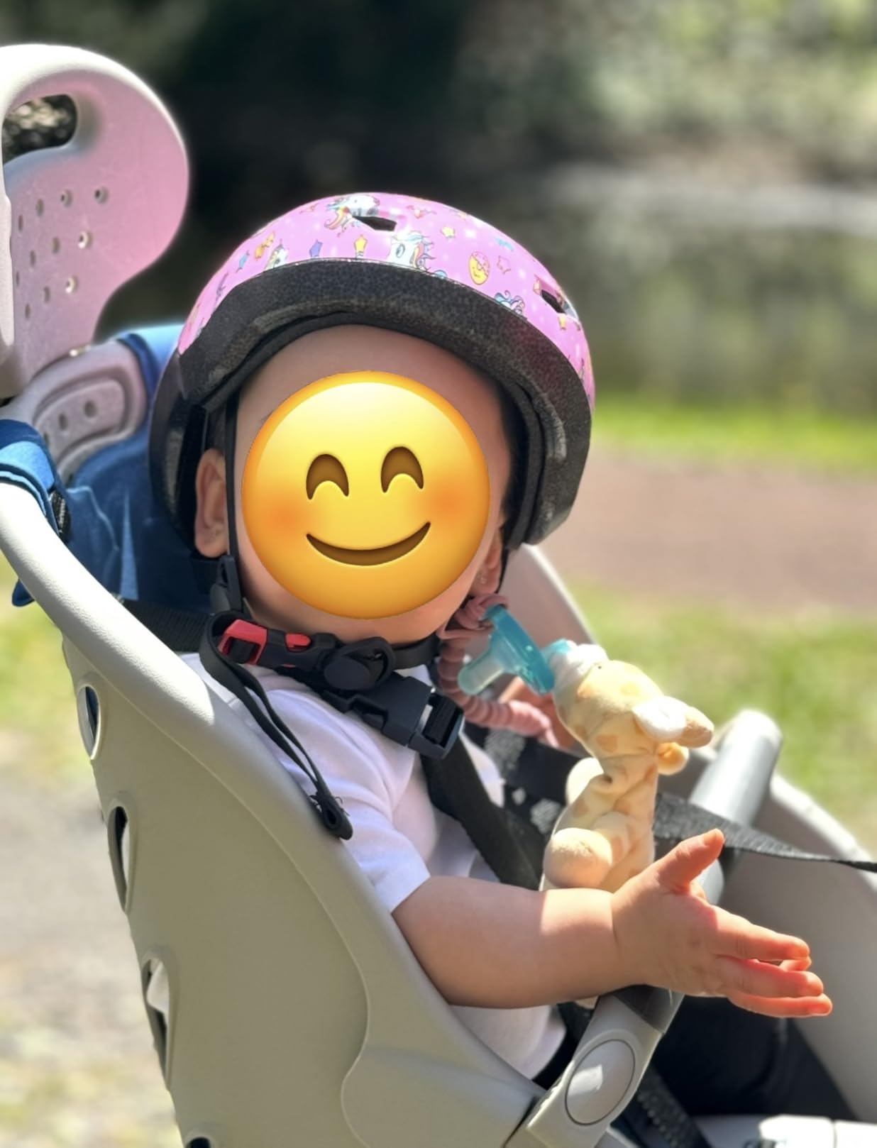 Schwinn Deluxe Child Bike Carrier, Seats one Kid Ages 1+, Frame Mount, Adjustable Safety Harness, Quick Release Design, Comfortable Padding, Rear-Mounted Child Bike Seat for Toddler customer photo 2