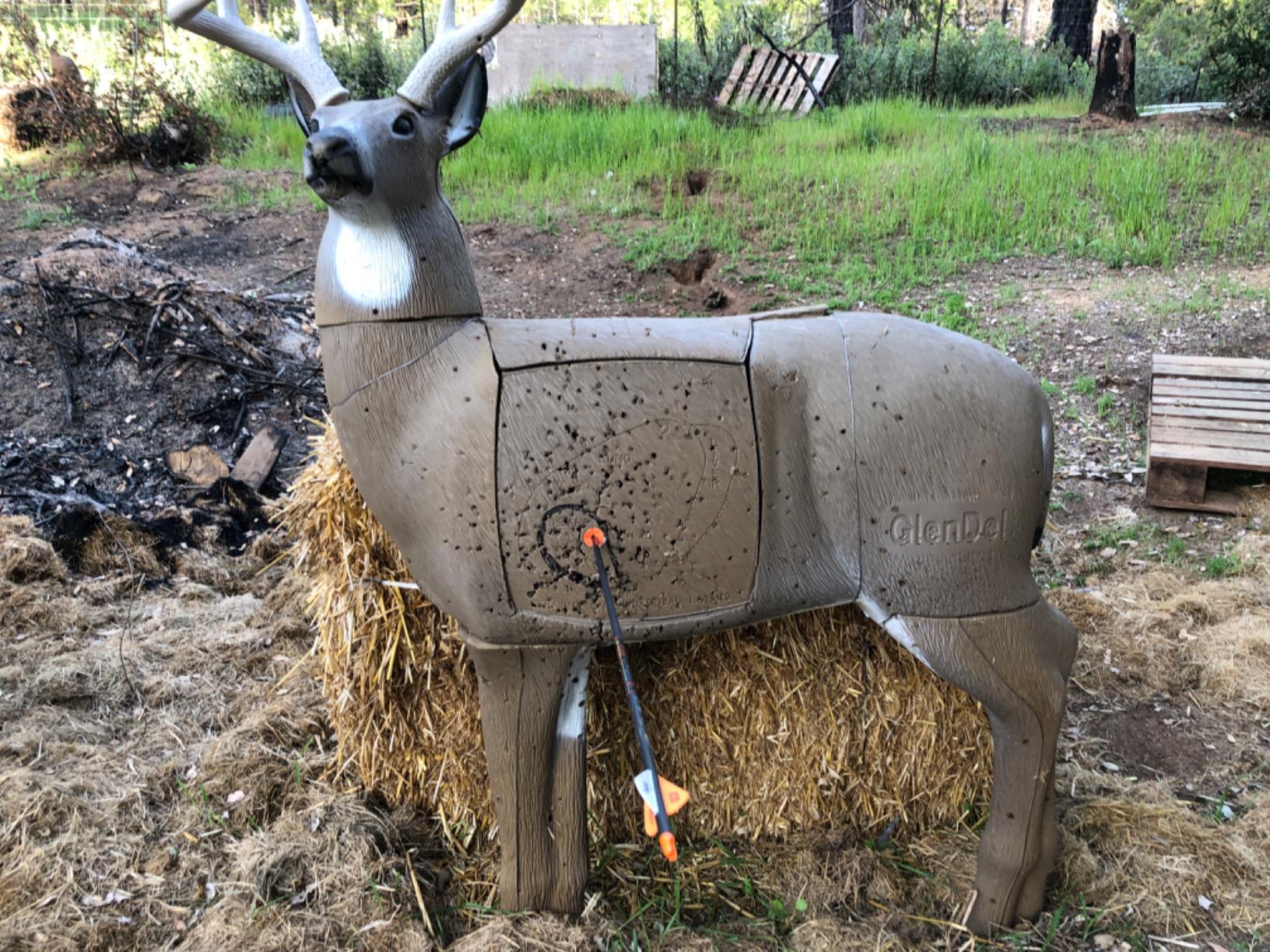 GlenDel Full-Rut Buck 3D Archery Target with Replaceable Insert Core customer photo 1