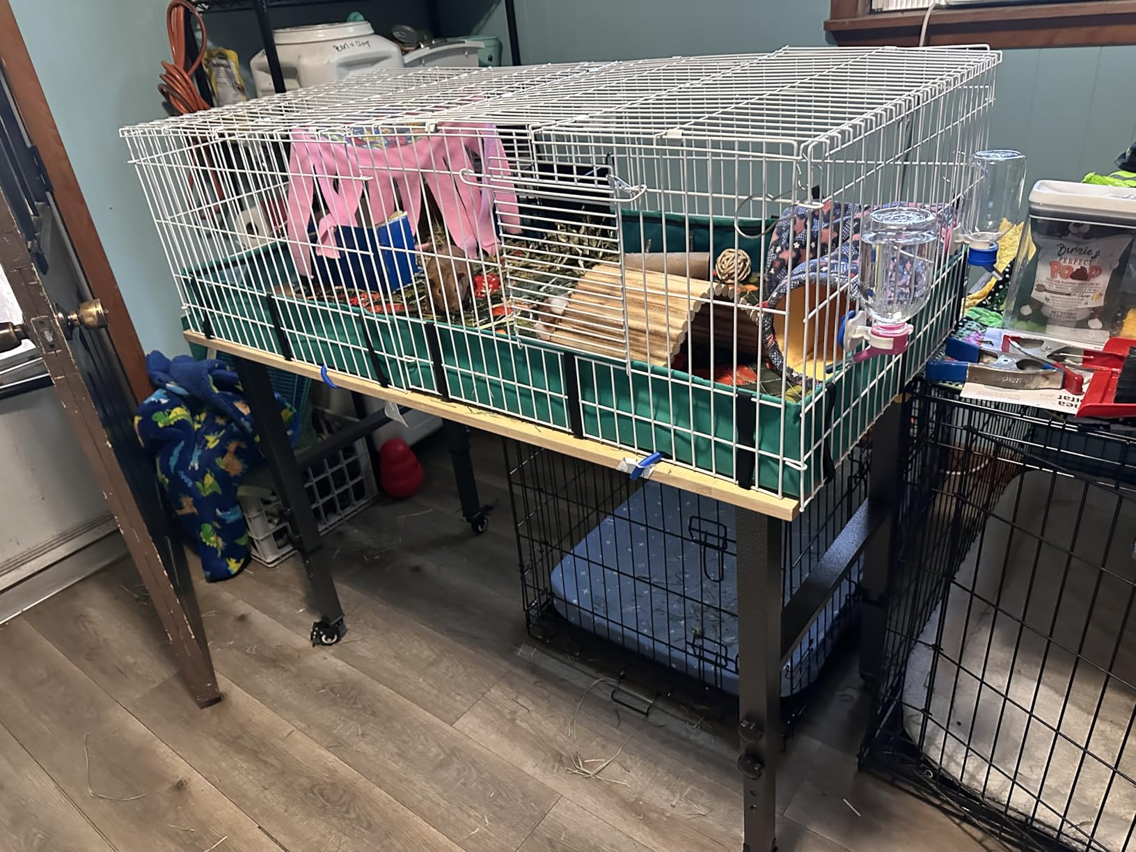 MidWest Homes for Pets Guinea Habitat Plus Cage, Includes Divider Panel and Hinged Top, Washable PVC Canvas Bottom, Expandable Small Animal Cage for Guinea Pigs, 171GHP customer photo 1