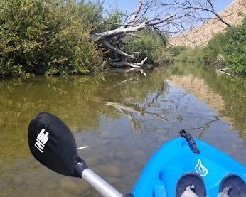Bending Branches Whisper Kayak Paddle - 2‑Piece Aluminum Shaft, Polypropylene Blades, Adjustable 0°/60° Feathering, Black Comfort Grips, Dihedral Blade Design for Recreational Paddling customer photo 1