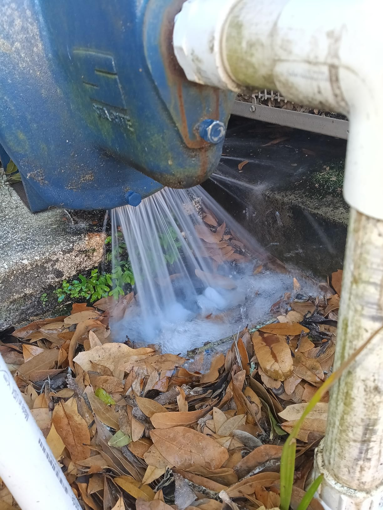 Pentair SNE-L 1 HP 115/230 Volt Shallow Well Jet Pump customer photo 2