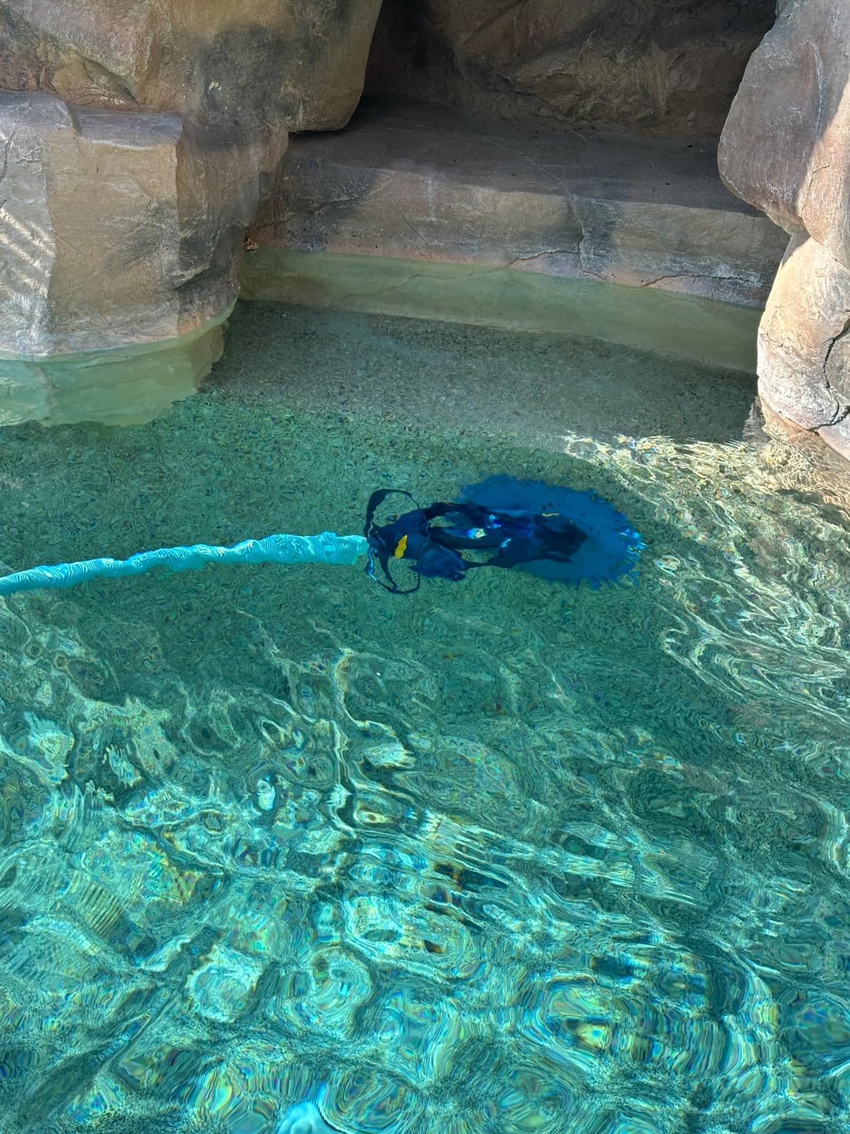 Zodiac G3 Suction-Side Inground Vacuum Pool Cleaner customer photo 2