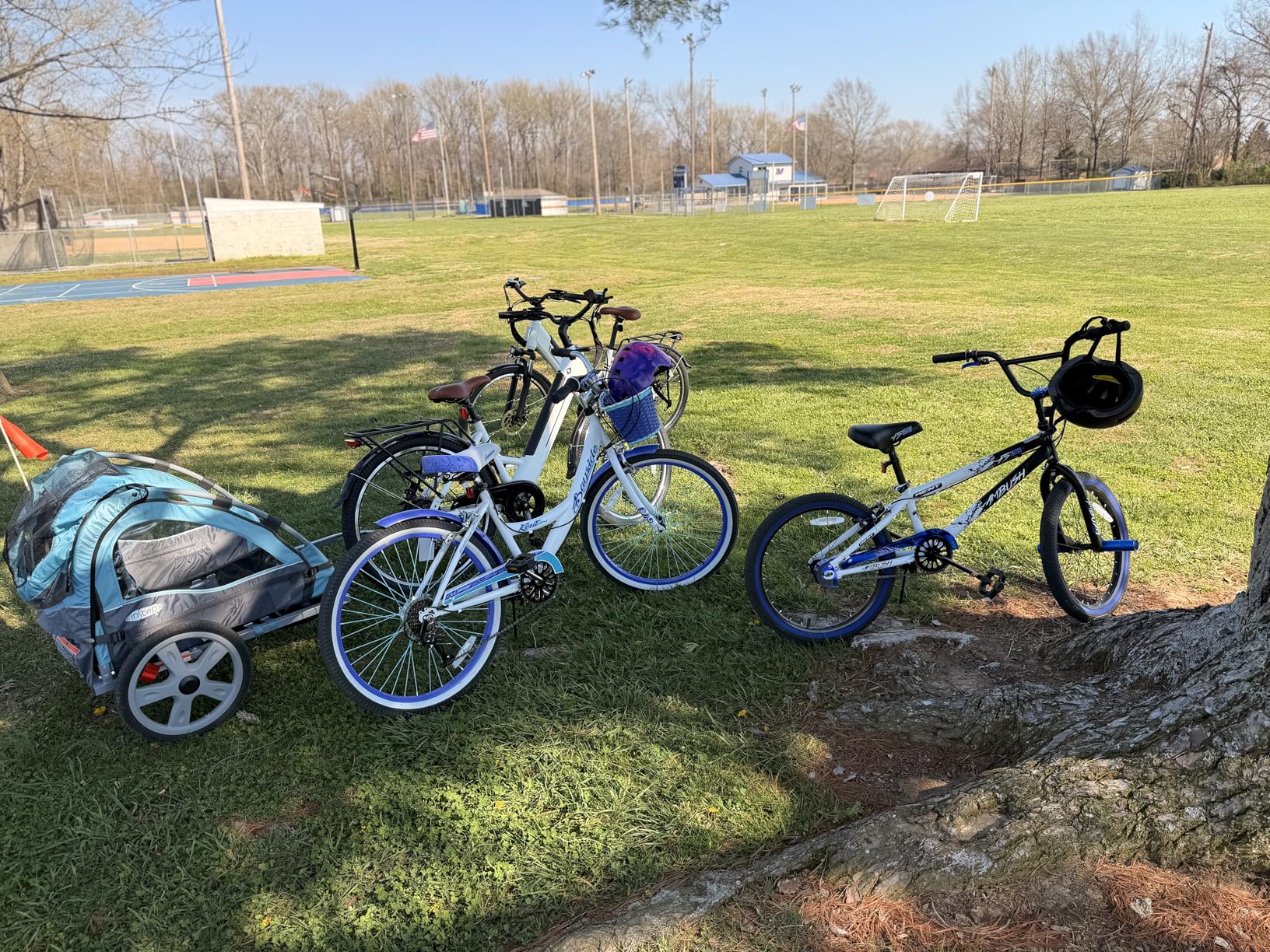 InStep Take 2 Kids Bike Trailer, Double Seat, Universal Coupler, Folding Frame, Quick-Release Wheels, Canopy with Bug Screen and Weather Shield, Bike Trailer for Kids customer photo 1