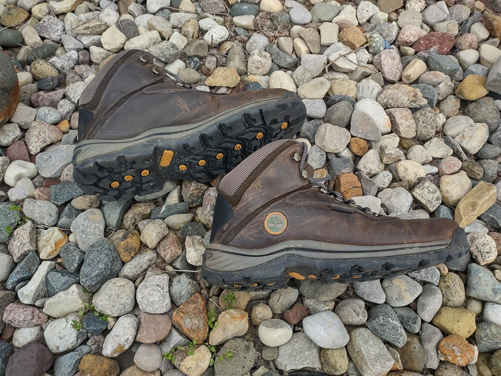 Men's White Ledge Mid Waterproof Hiking Boots customer photo 1