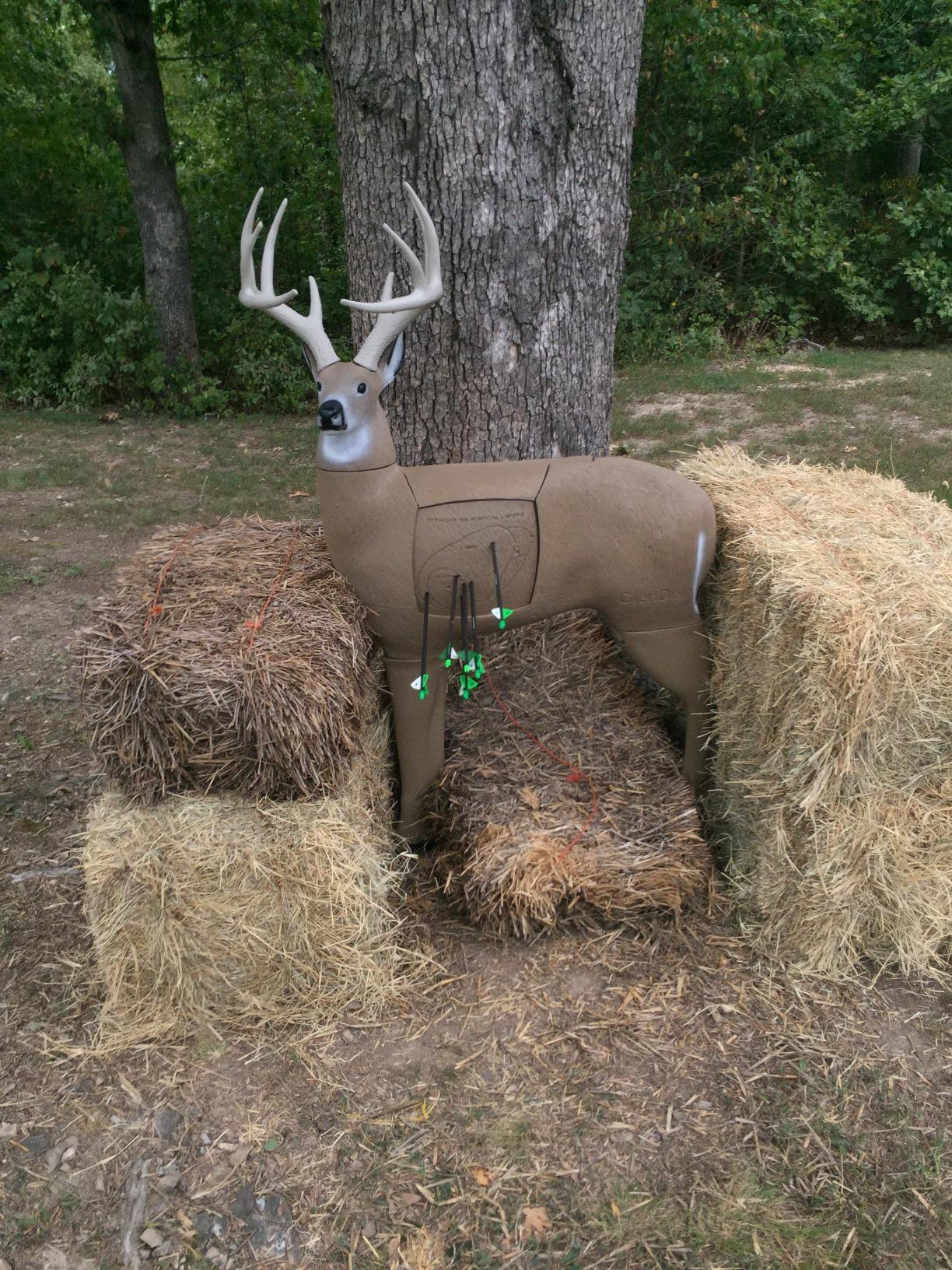 GlenDel Target Buck w/4-Sided Insert customer photo 1