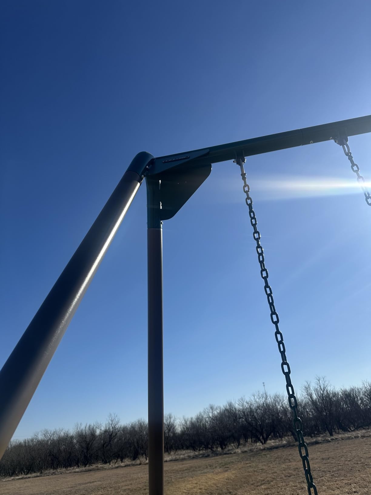 Lifetime Heavy Duty A-Frame Metal Swing Set customer photo 2