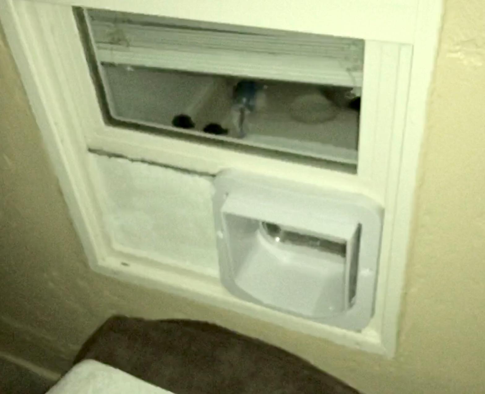 SureFlap - Sure Petcare Microchip Cat Flap, White, Scans Pet's ID on Entry, Check Your Cat's Size, Flap Opening is 4 3/4