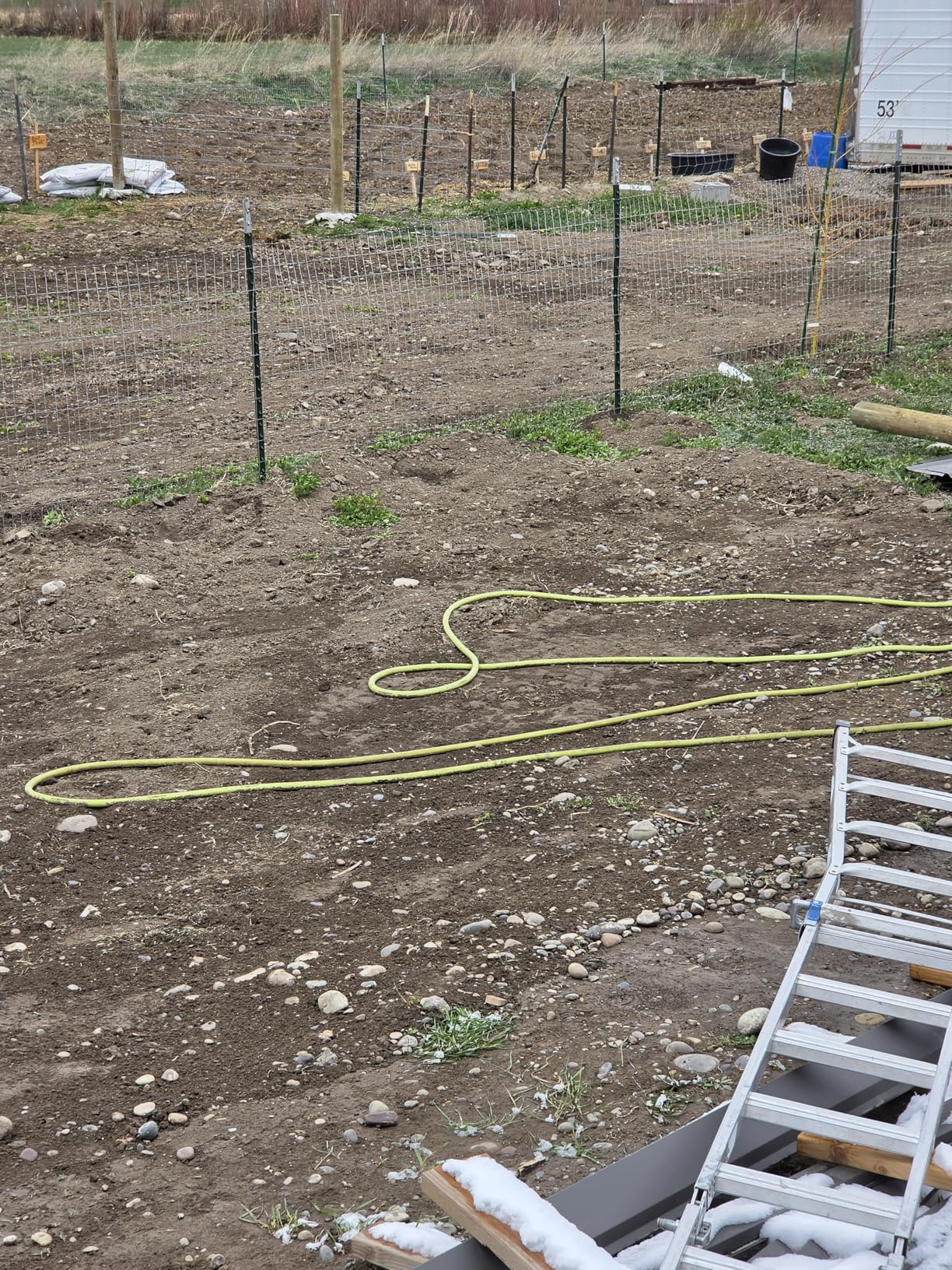 Flexzilla Garden Hose 5/8 in. x 50 ft., Lightweight All-Weather Water Hose, Durable and Flexible, Leak-Free Connections customer photo 1
