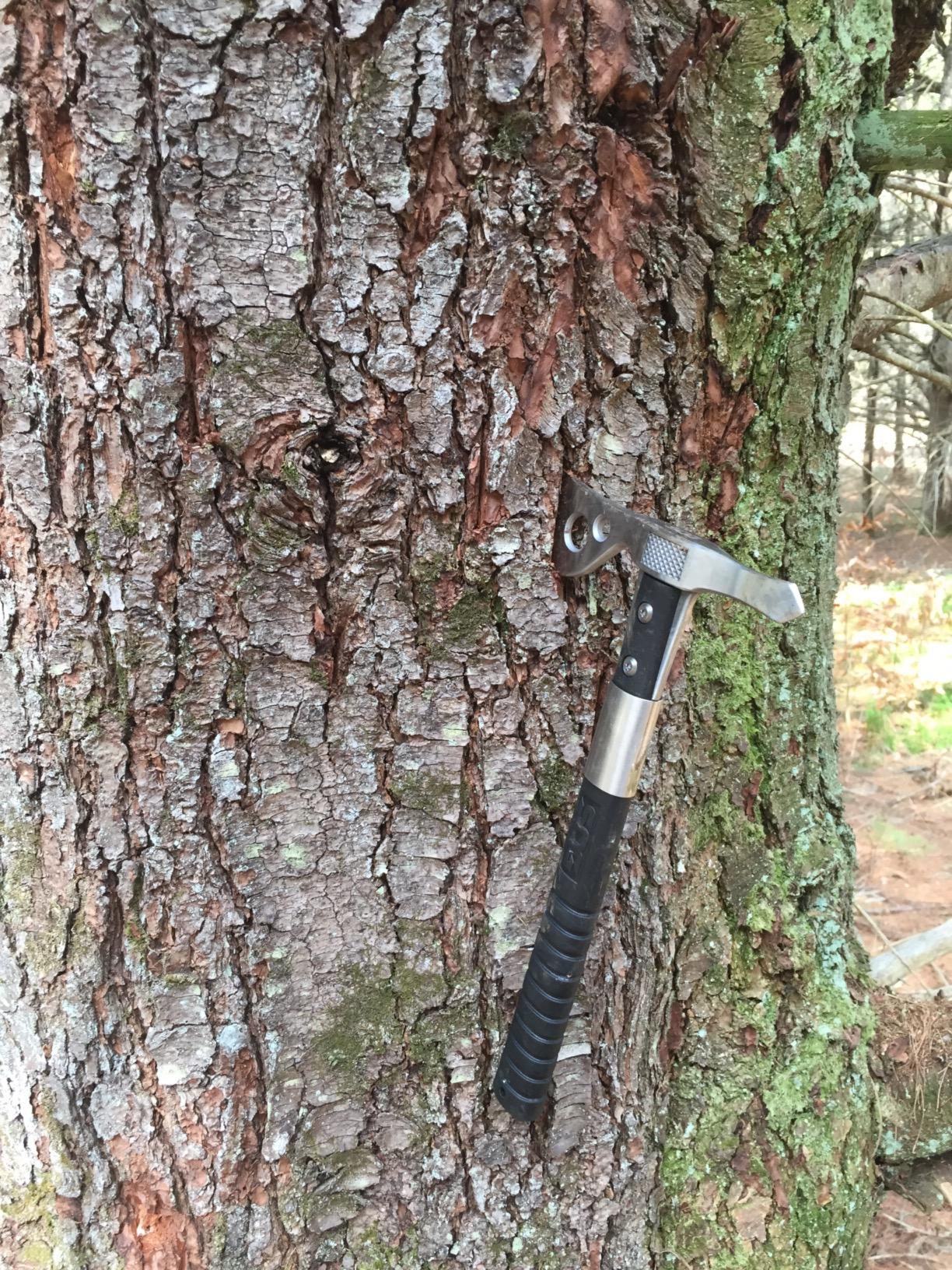 SOG FastHawk- Lighter, Faster, Agile Throwing Hatchet, Versatile Survival Tactical Axe for Competition Throwing and Camping, Hunting and Packing-Black (F06TN-CP) customer photo 1