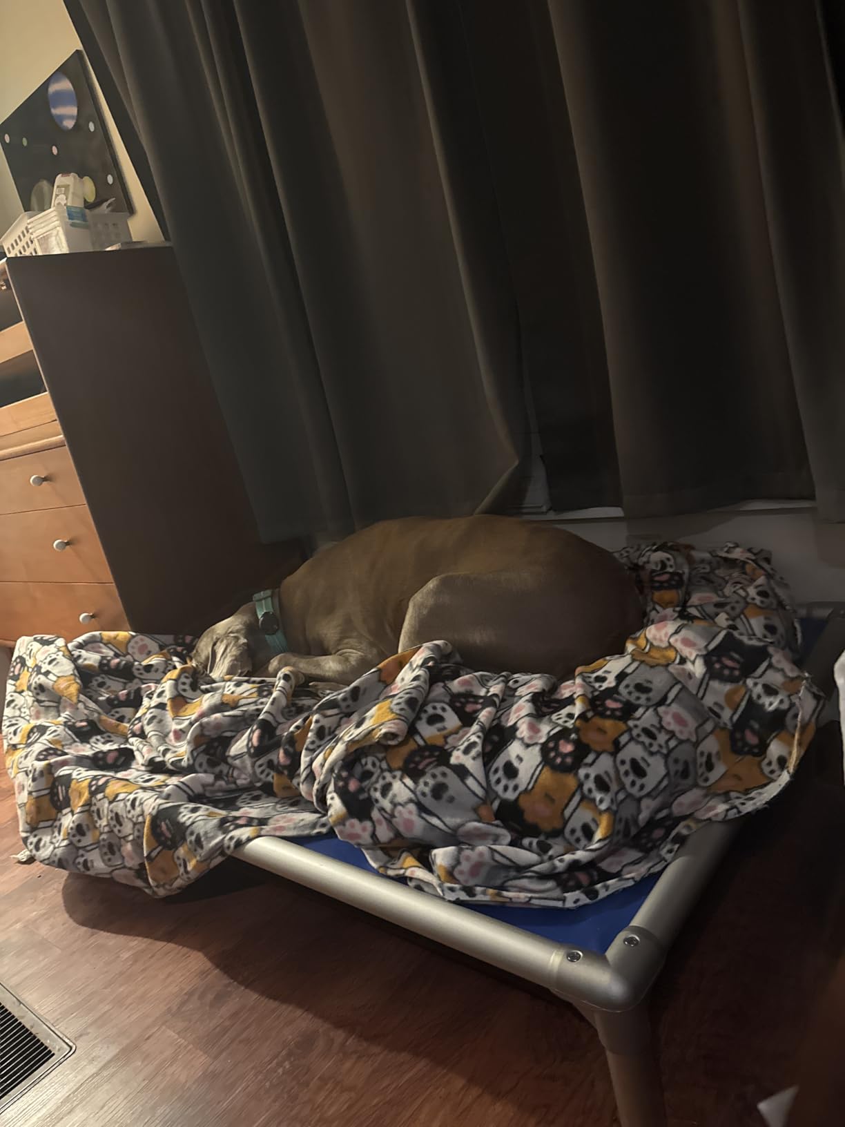 Kuranda Chewproof Elevated Dog Bed - Silver Aluminum - 40
