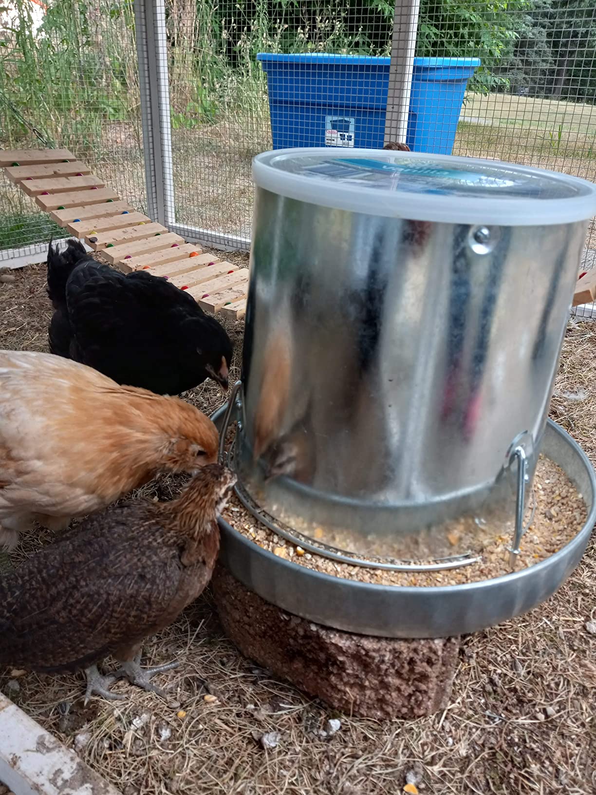Harris Farms Galvanized Hanging Poultry Feeder, 15 lbs, Metal customer photo 1