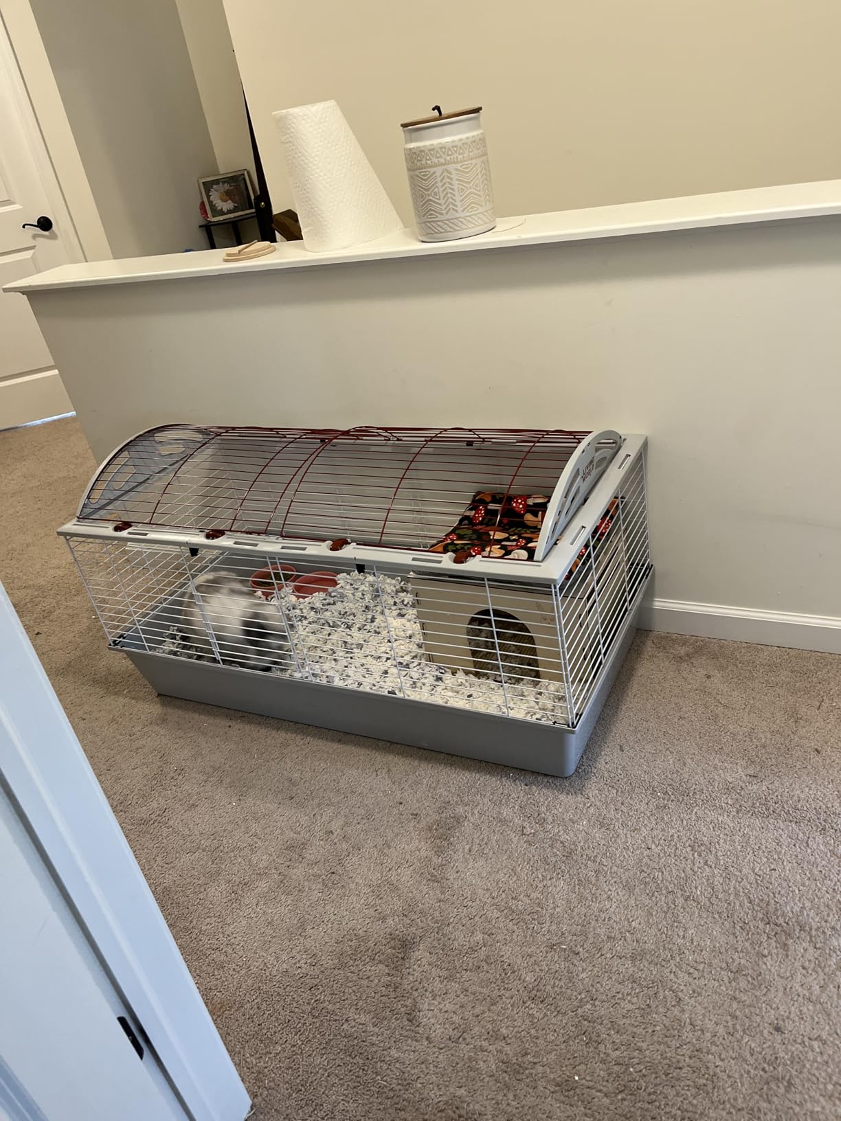 Living World Deluxe Hybrid Habitat, X-Large - Rabbit, Guinea Pig, Chinchillas, and Small Animal Cage customer photo 1