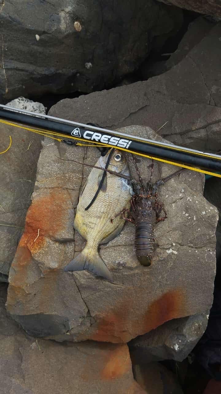 Cressi Apache Aluminum Speargun with Galvanized Notched Shaft & Circular Elastic Band - Made in Italy customer photo 3