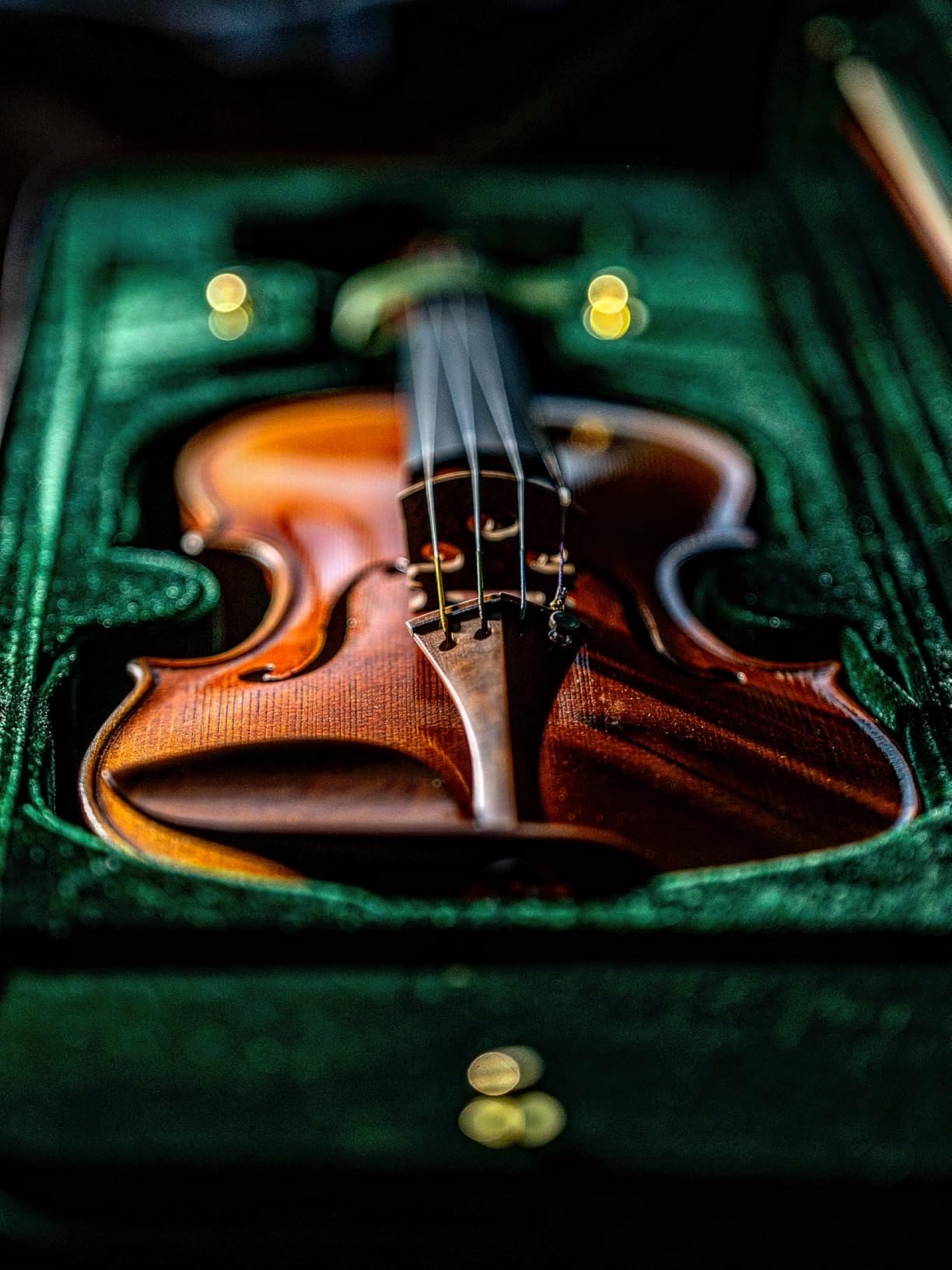 Cremona SV-800 4/4 Premier Artist Violin Outfit - Bow & Case Included, Hand-Carved Tonewoods, Hill-Style Fittings, Thomastik Dominant Strings customer photo 2