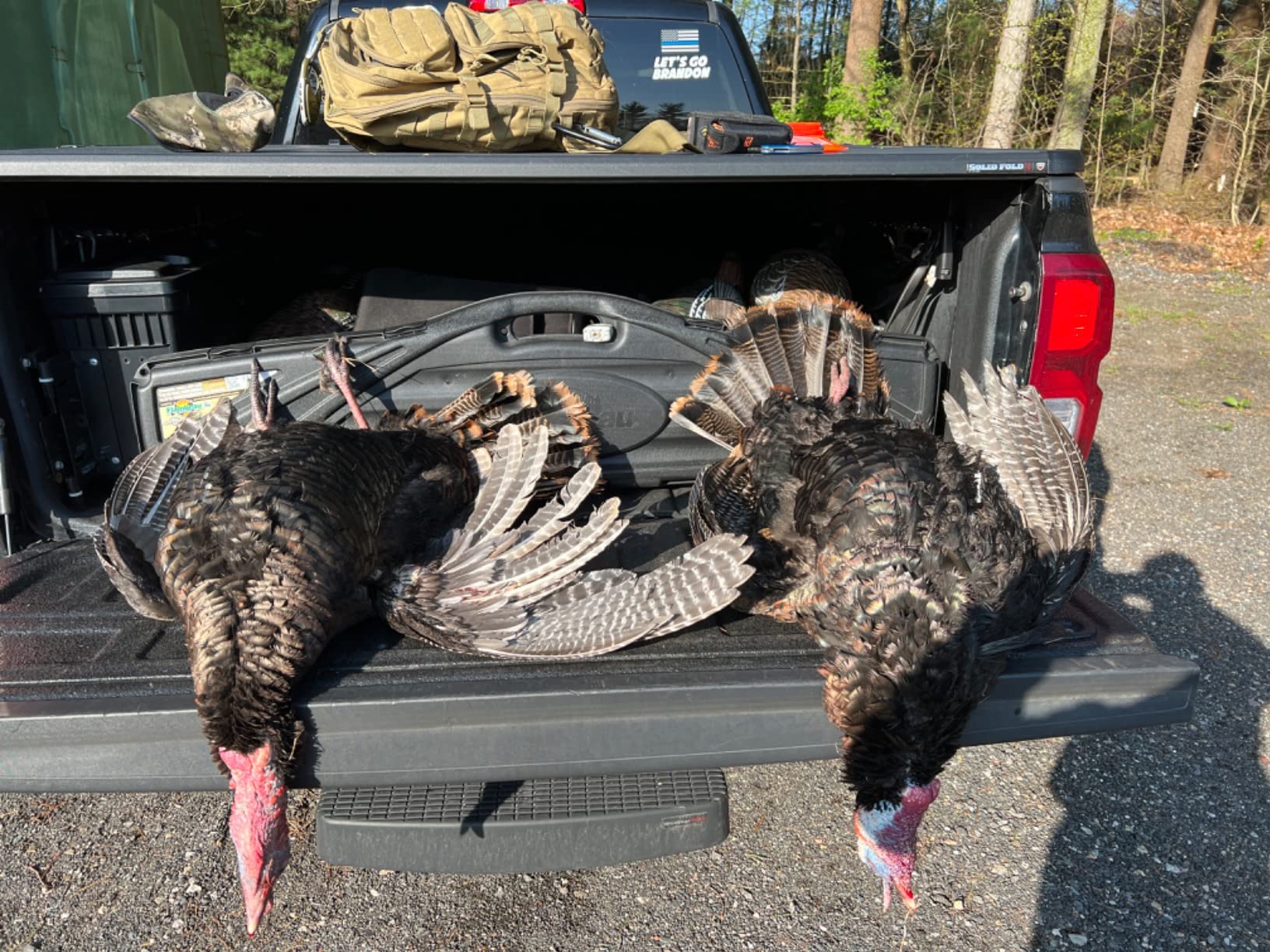 Avian-X LCD Feeder Hen Turkey Decoy customer photo 1