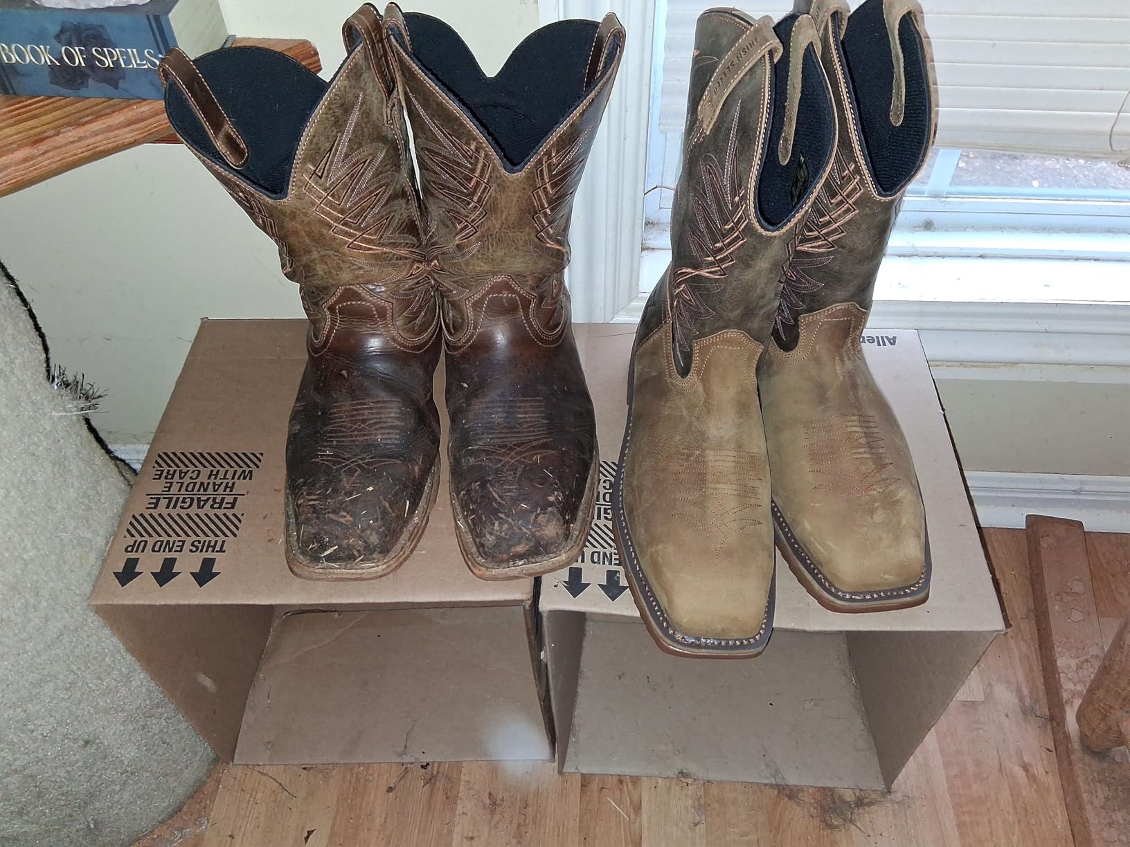 Irish Setter Marshall Men's 11