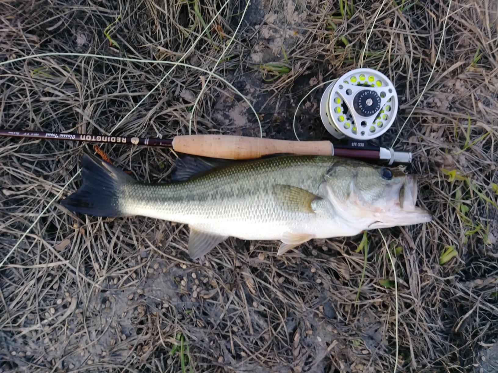 Redington Freshwater Fly Fishing Rod - Moderate Action 4-Piece Fly Rod - Case Included customer photo 1
