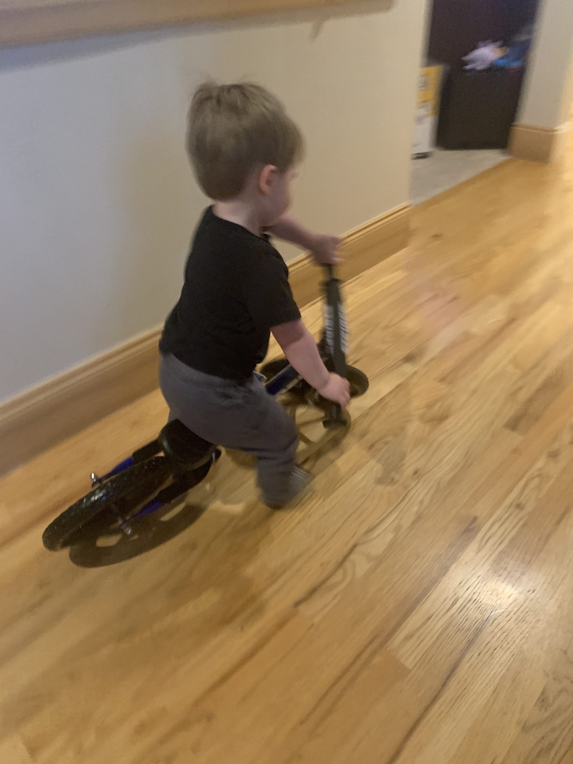Strider 12
