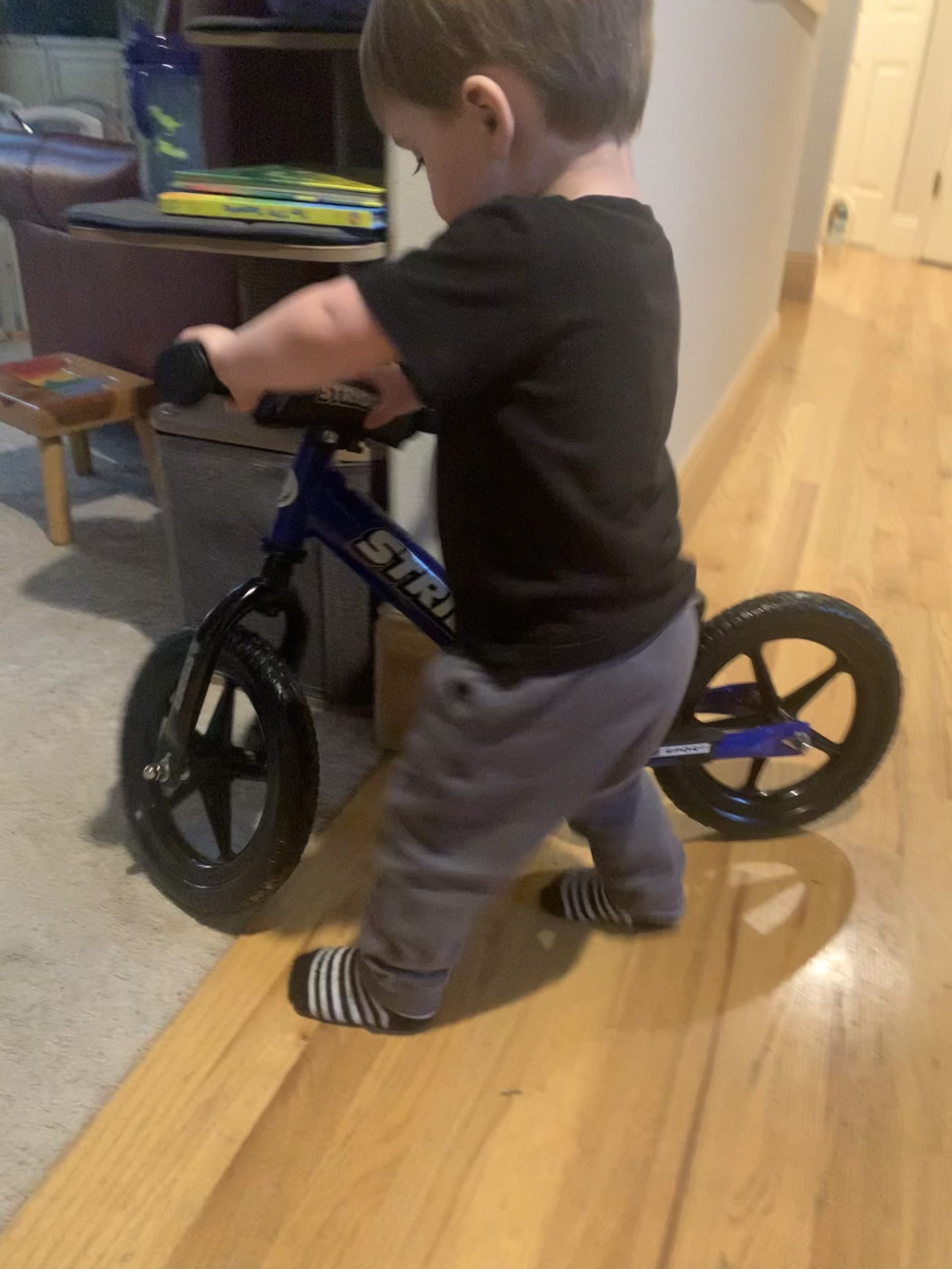 Strider 12