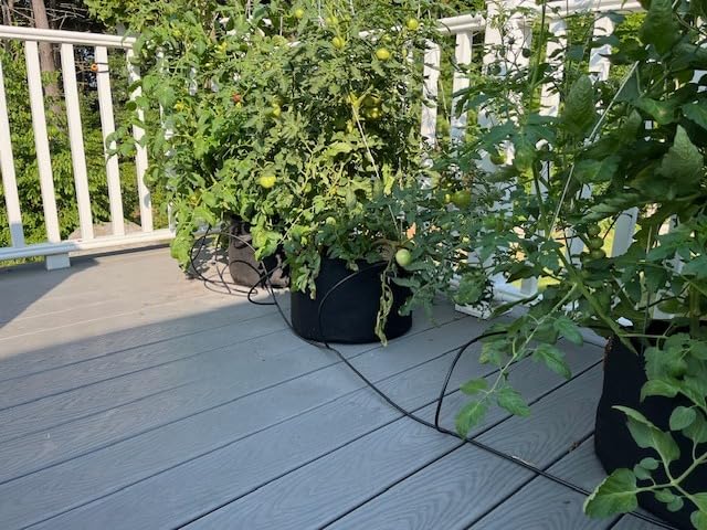 Raindrip R560DP Drip Watering System, Automatic Drip Irrigation System with Timer for Containers and Hanging Baskets, Waters up to 20 Plants, Includes 20 Drippers customer photo 2