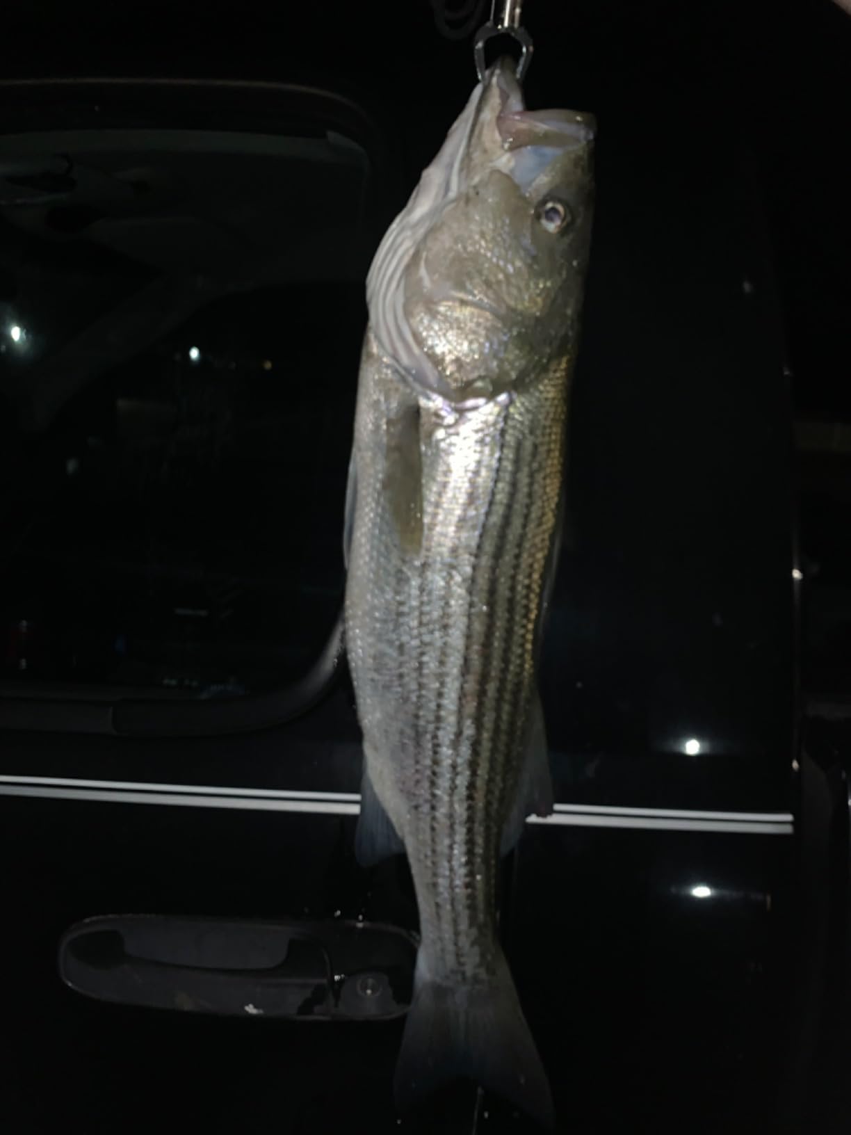 Berkley Big Game Spinning Fishing Rod customer photo 2