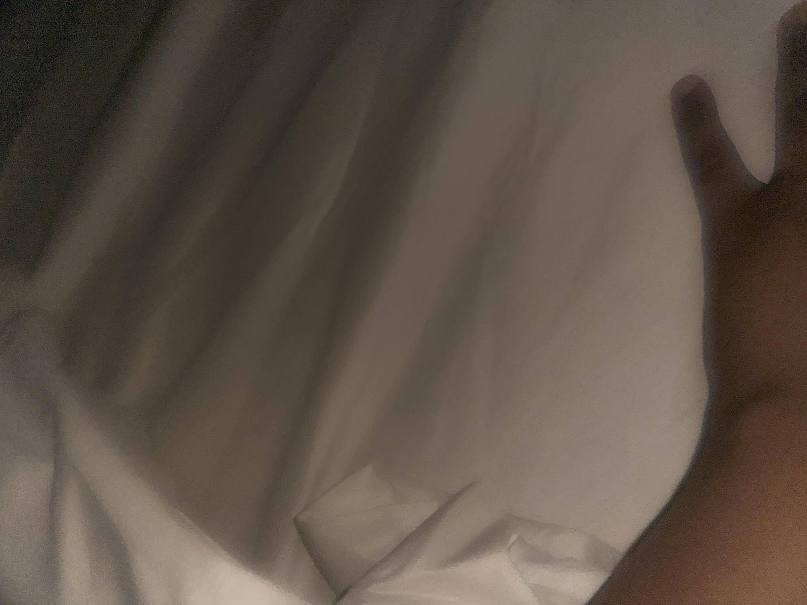 Queen Size Sheet Set - 4 Piece Bed Sheets, Soft and Breathable Microfiber, Includes 1 Fitted Sheet, 1 Flat Sheet and 2 Pillowcases - Oeko Tex (Grey) customer photo 1