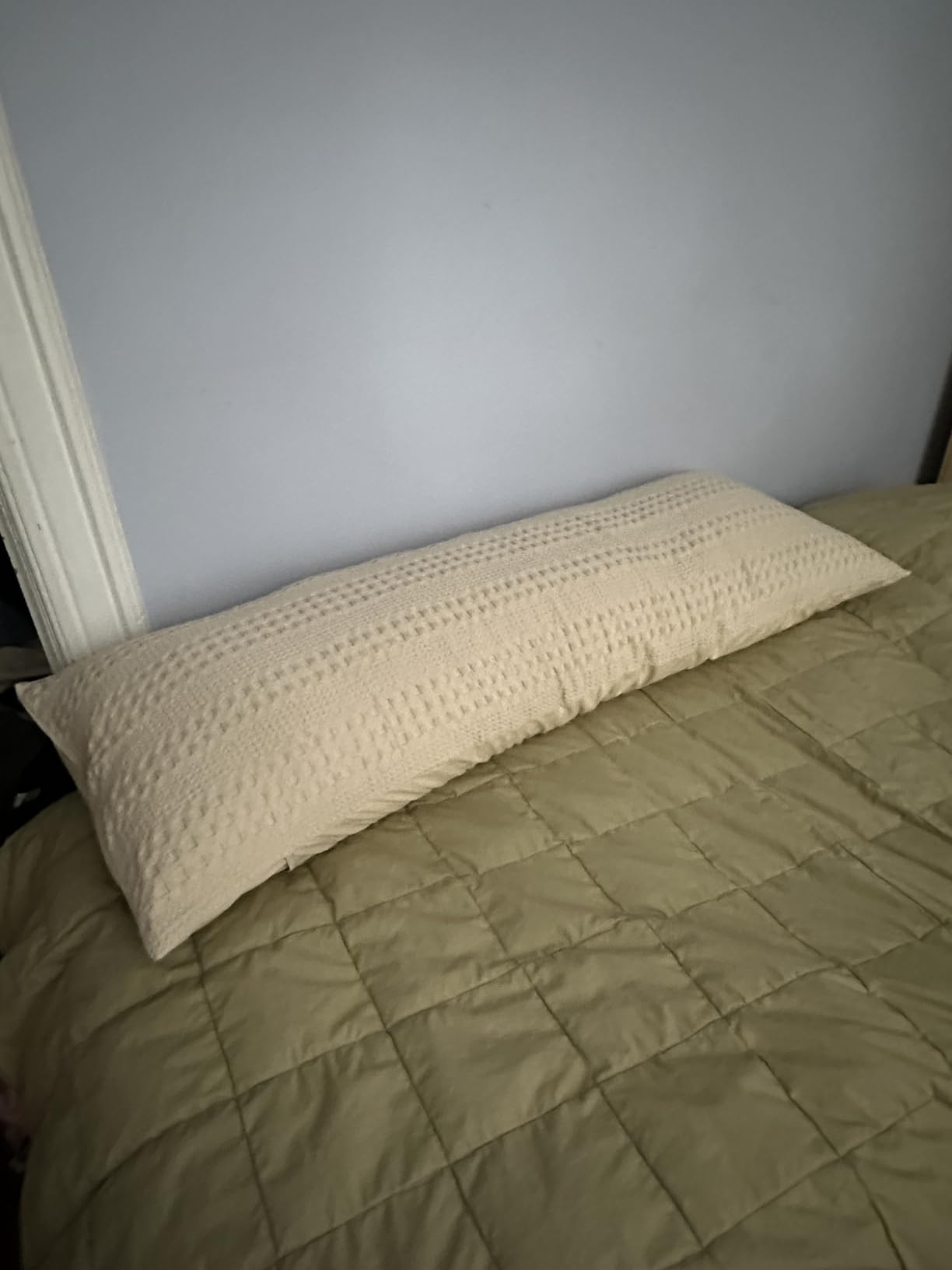 Coop Home Goods Original Adjustable Body Pillow, 20x54 Long Pillow for Back, Shoulder, Hip and Knee Support, Side Sleeper Body Pillows for Adults with Memory Foam & Washable Cover customer photo 1