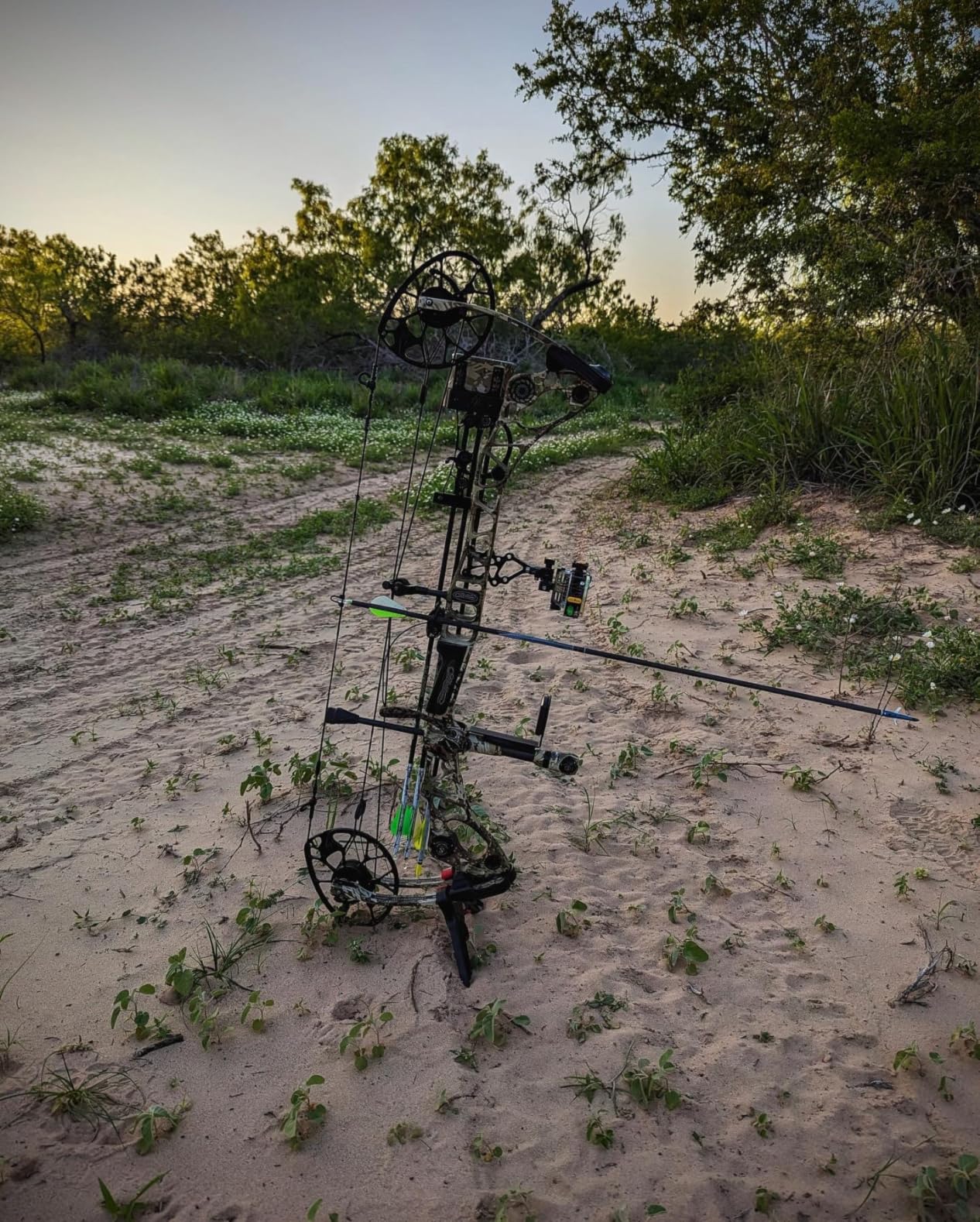Trophy Ridge React Pro 5 Pin Bow Sight customer photo 2