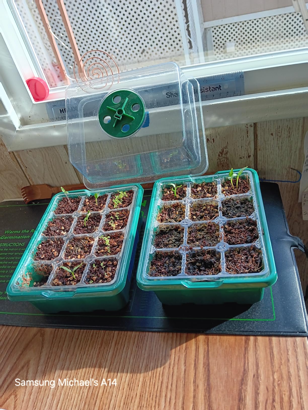 VIVOSUN Durable Waterproof Seedling Heat Mat 10