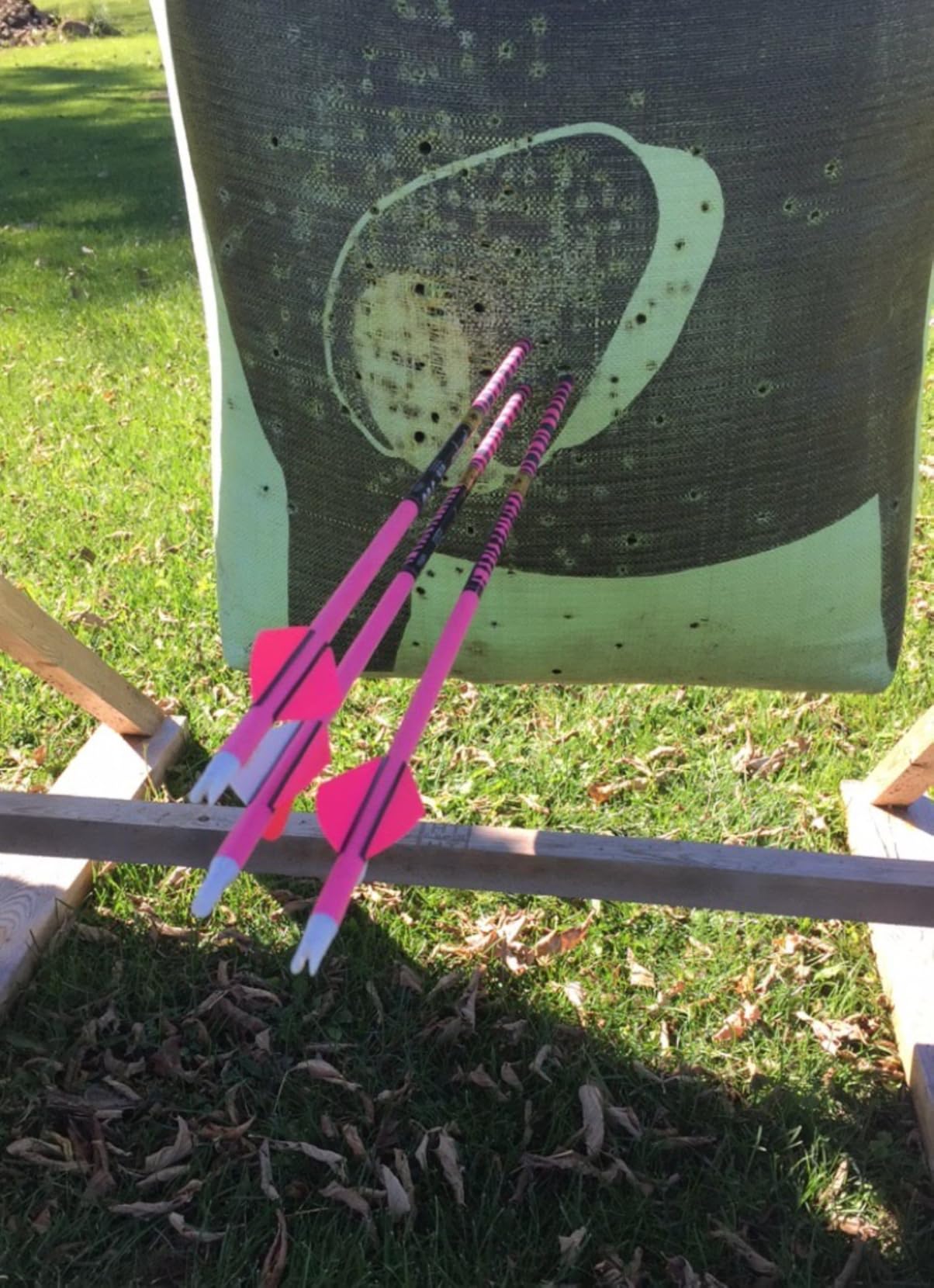 Gold Tip Ted Nugent Arrows with Raptor Vane (Pack of 6) customer photo 1