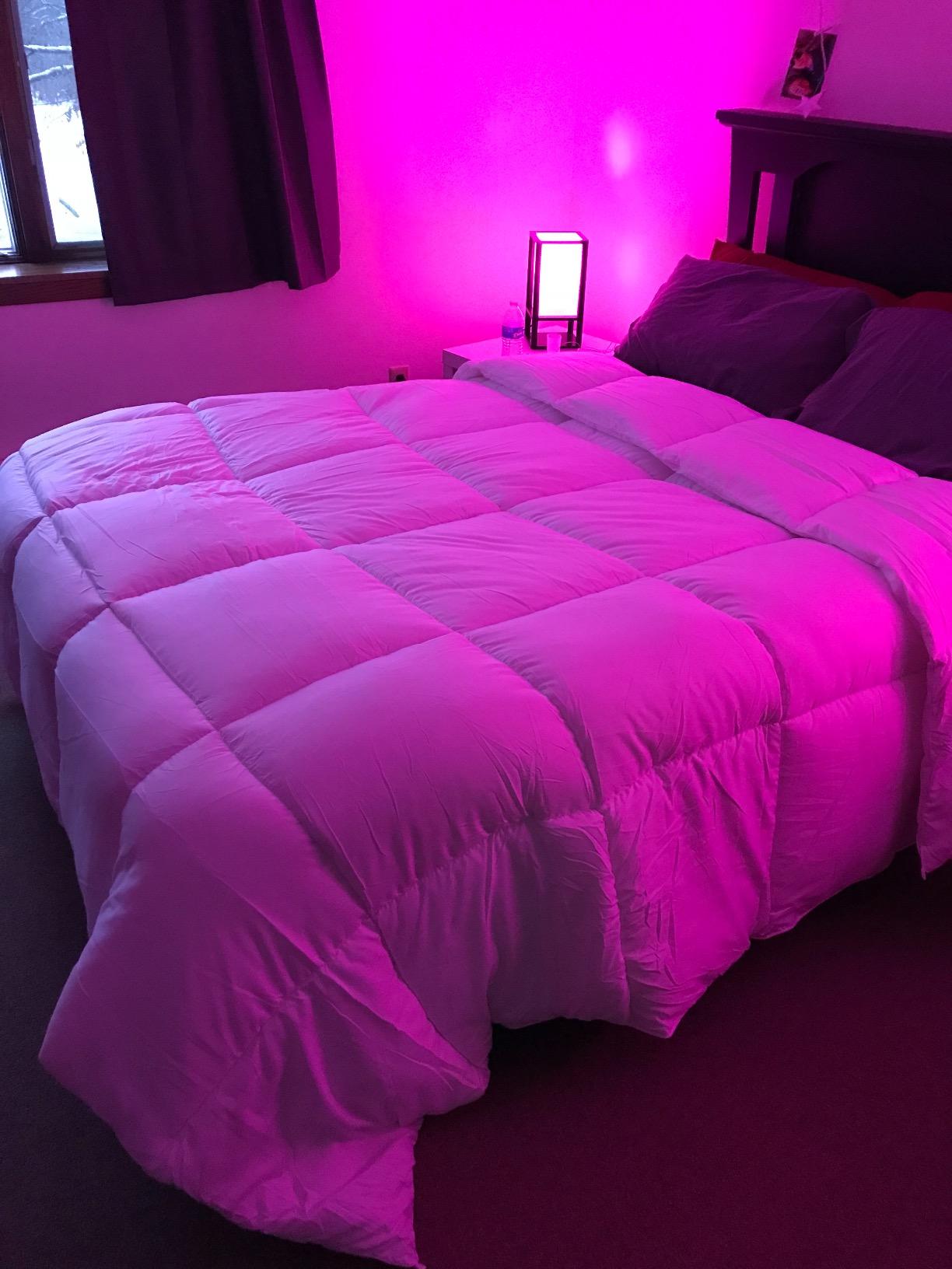 Utopia Bedding Queen Comforter Duvet Insert, Quilted White Comforter with Corner Tabs, Box Stitched Down Alternative Comforters Queen Size 88 x 88 inches customer photo 1