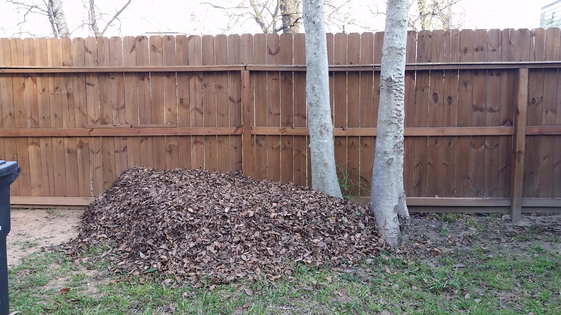 BLACK+DECKER Electric Leaf Blower, Leaf Vacuum and Leaf Mulcher, 3-in-1 300 CFM 210 MPH 12-Amp Handheld Lightweight Corded Electric Combo Kit (BV3100) customer photo 1