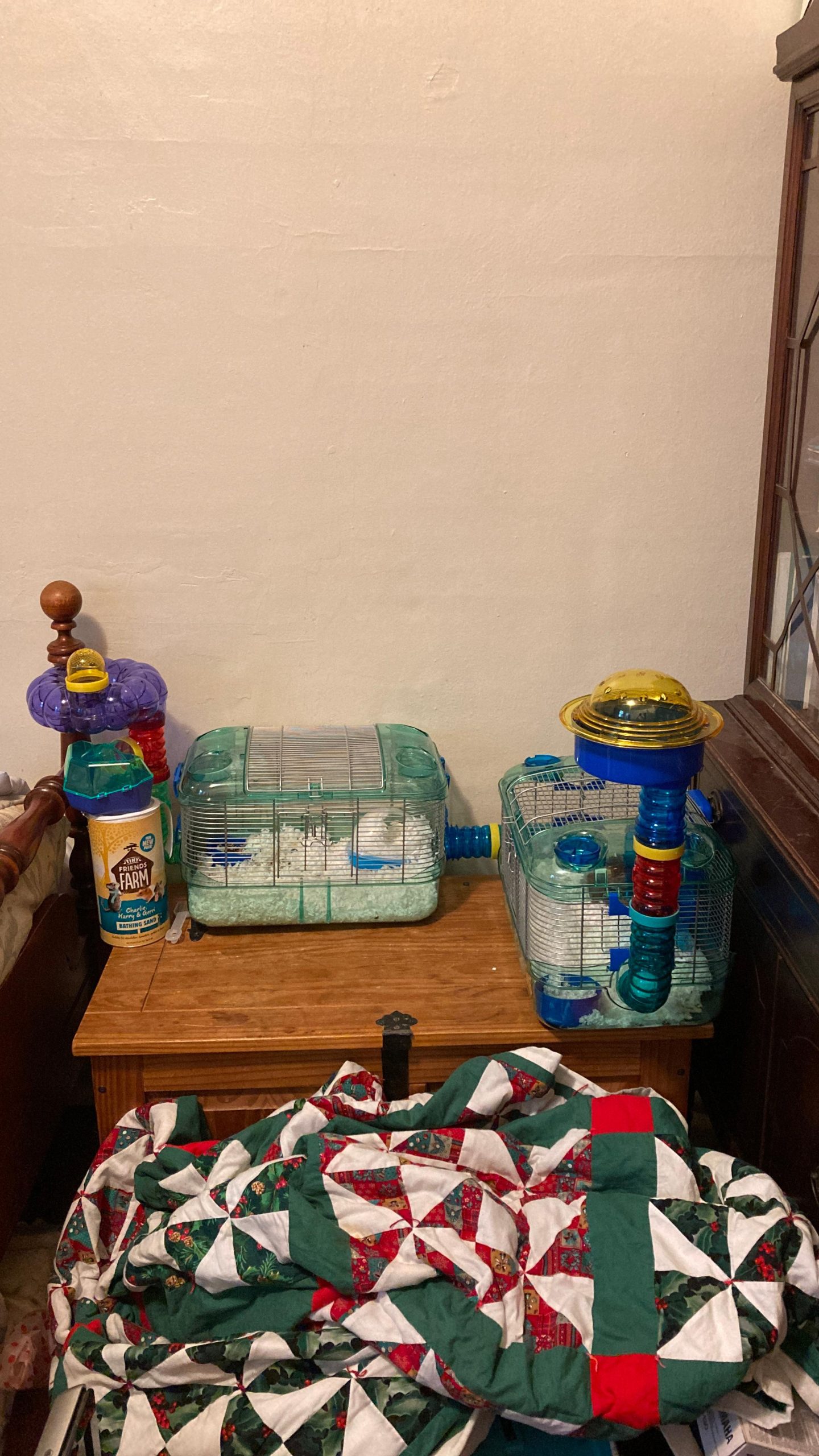Kaytee CritterTrail Quick Clean Habitat for Pet Gerbils, Hamsters or Mice customer photo 1