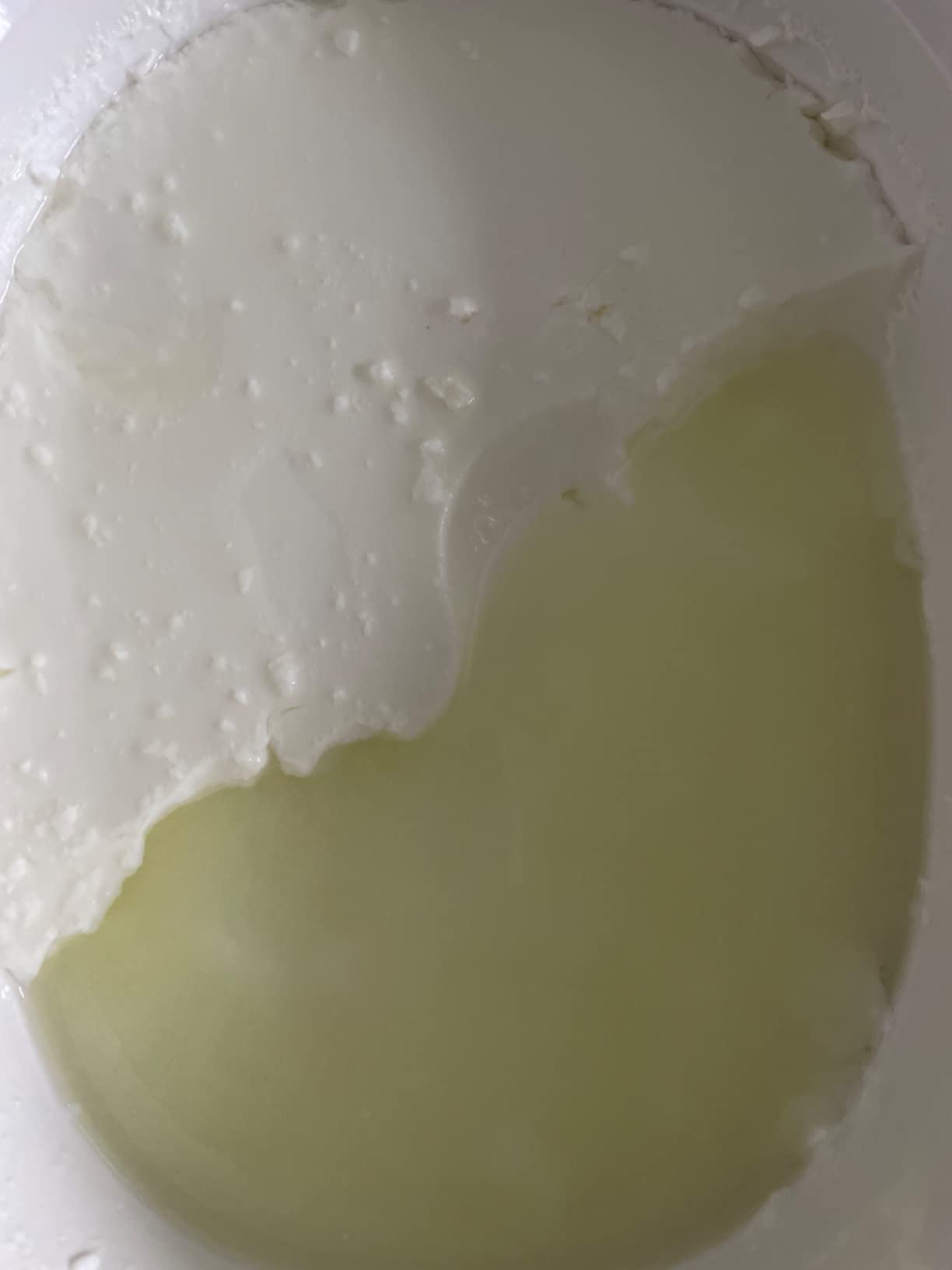 Yogurt Starter Cultures - Pack of 12 Freeze-dried Culture Sachets for Authentic Bulgarian Yogurt (12) customer photo 2