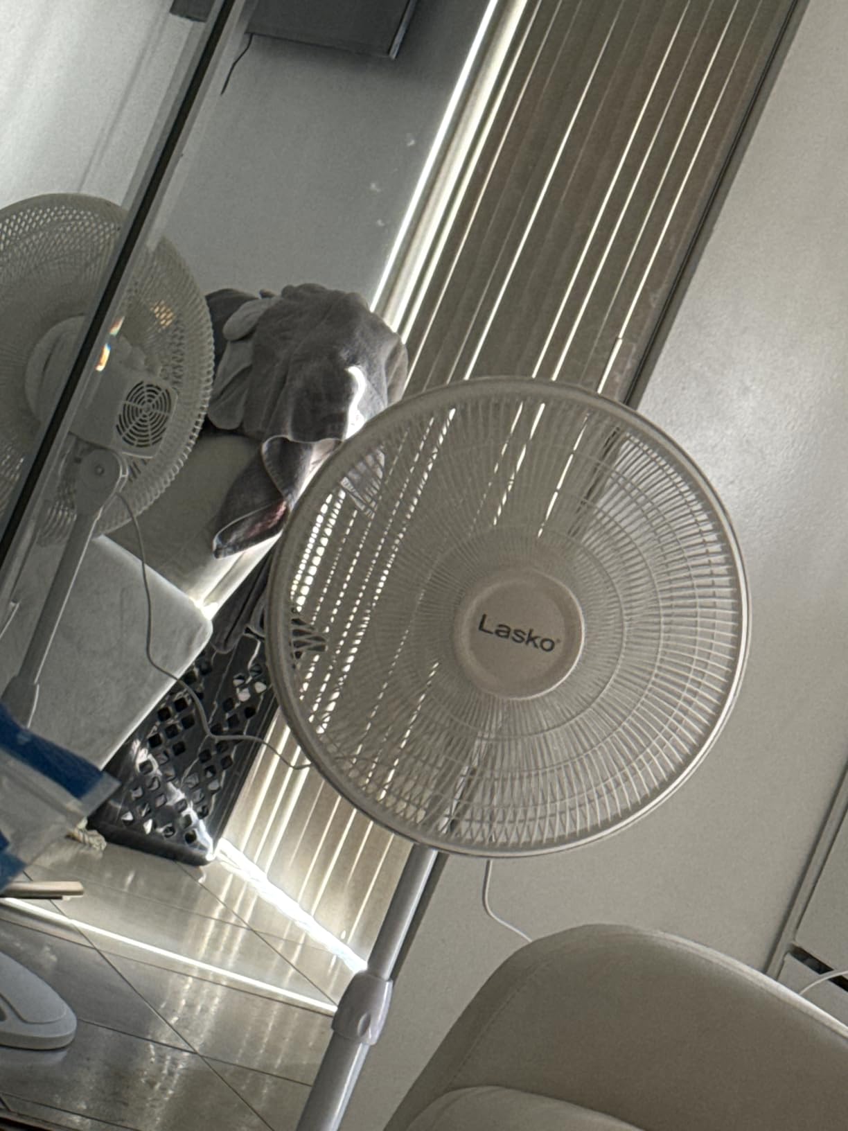 Lasko 2520 Oscillating Stand Fan, White 16 Inch customer photo 2