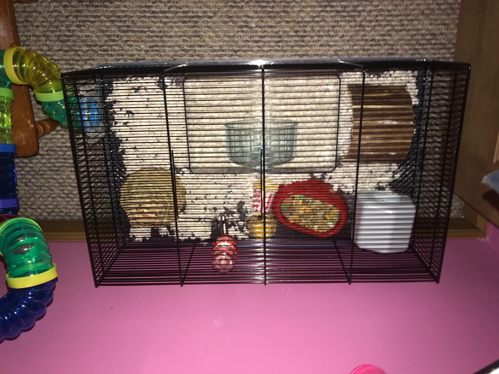 Ferplast Favola Hamster Cage Includes Free Water Bottle, Exercise Wheel, Food Dish & Hamster Hide-Out Large Hamster Cage Measures 23.6L x 14.4W x 11.8H-Inches customer photo 2