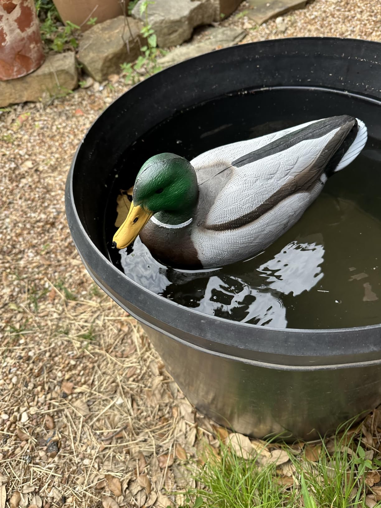Flambeau Outdoors 8036SUV Storm Front 2 Mallard Decoys, Classic Floaters - 6-Pack customer photo 1