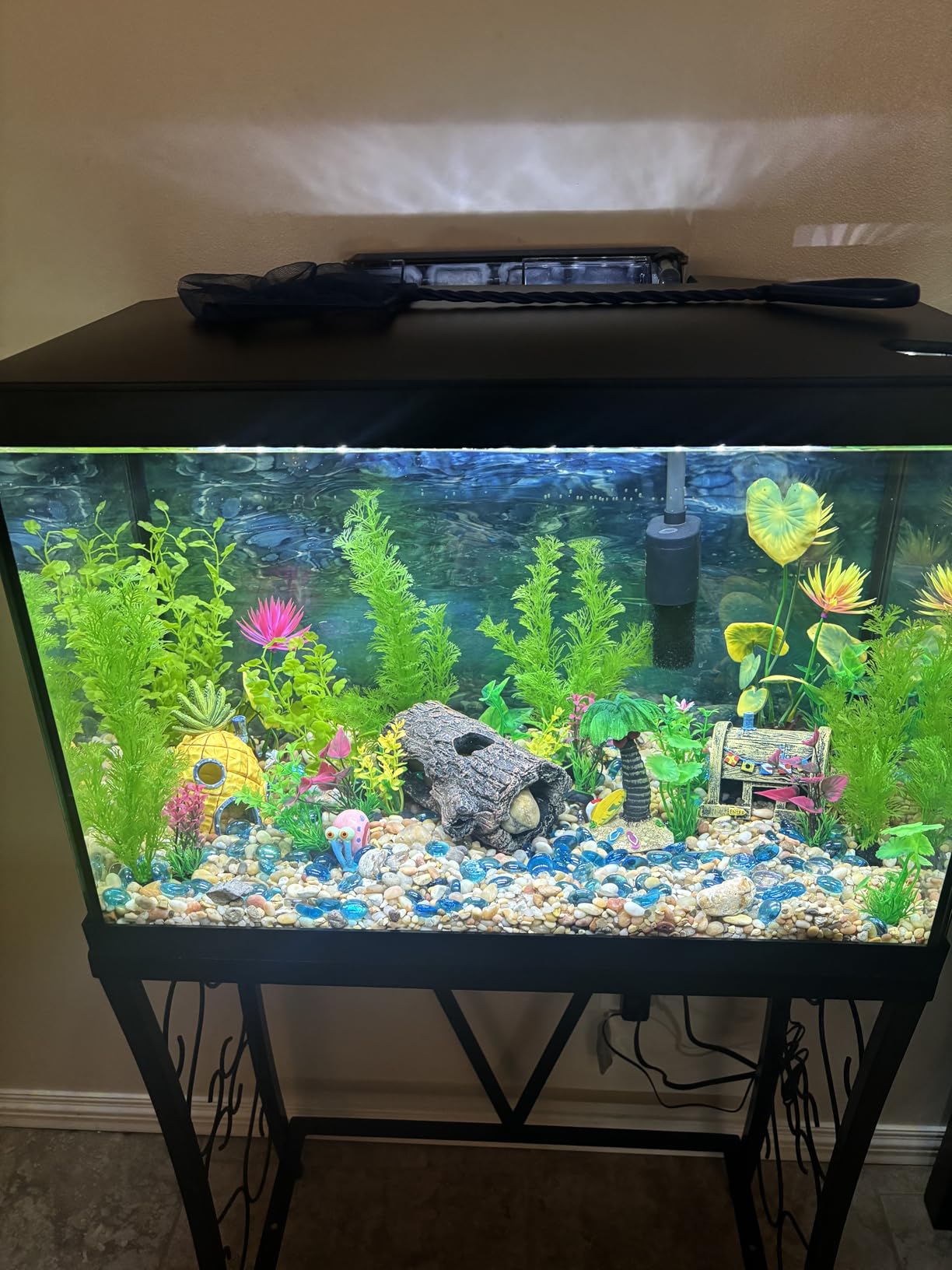 Marina 5 Gallon (19 L) LED Aquarium Kit - Ideal for Beginner Aquarists and New Fish-Keepers customer photo 1