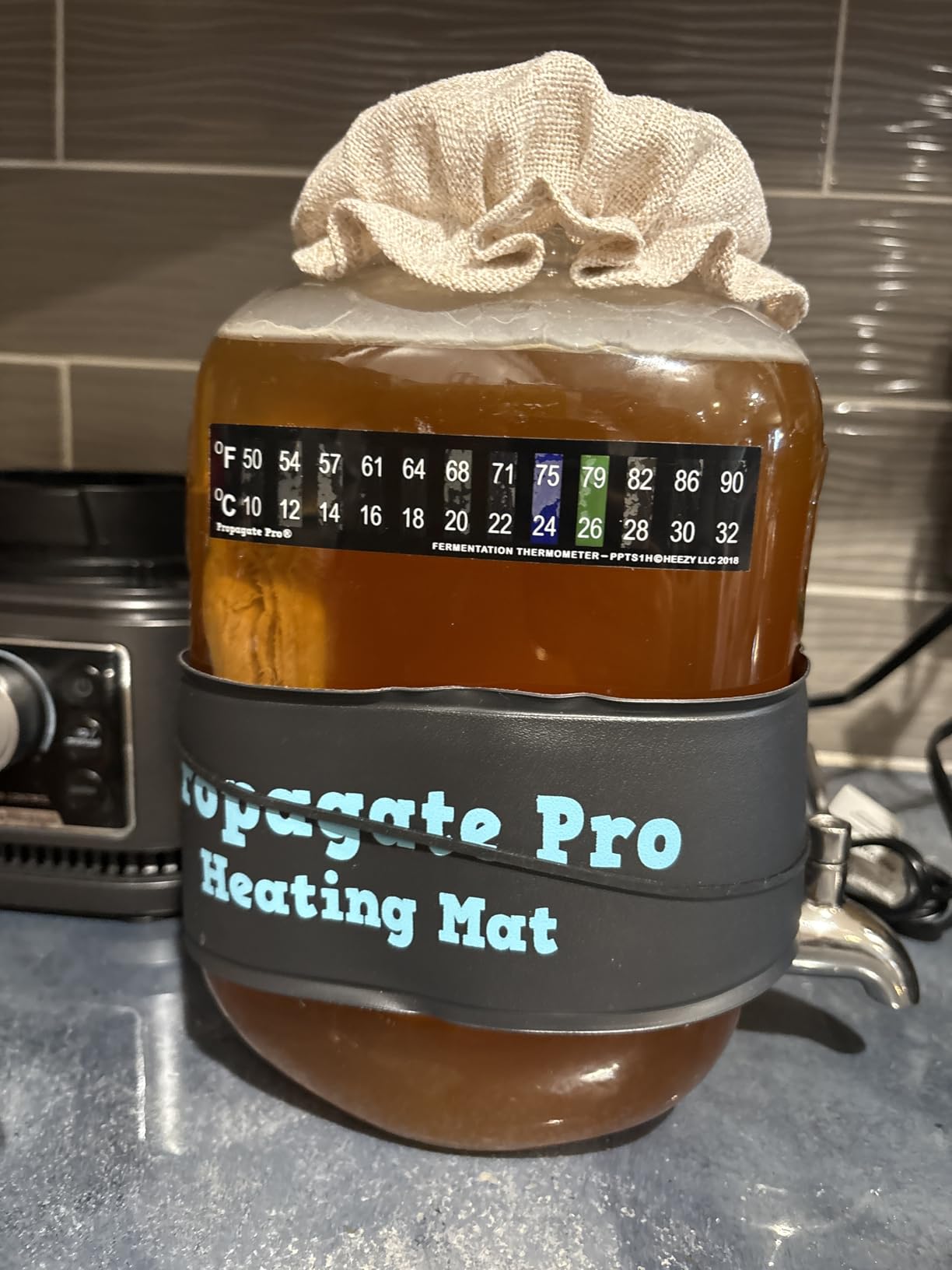 Wrap Around Kombucha Heater Belt | Propagate Pro Brewing and Fermentation Heat Mat Warmer | Keeps Your SCOBY Happy and Productive with Stickon Thermometer customer photo 1