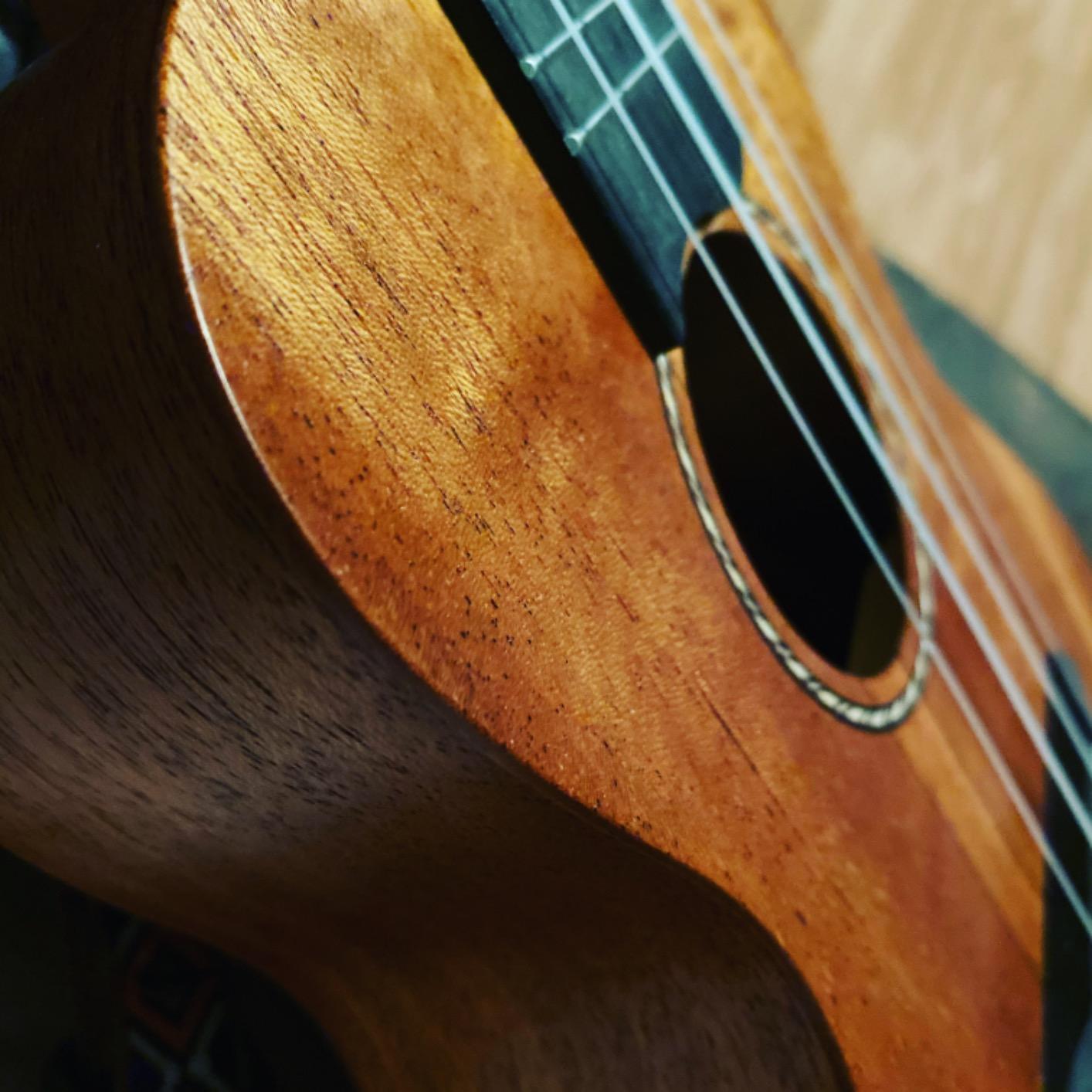 Donner Concert Ukulele Beginner Mahogany 23 Inch Ukelele Kit with Free Online Lesson Gig Bag Strap Nylon String Tuner Picks Cloth DUC-1 customer photo 2