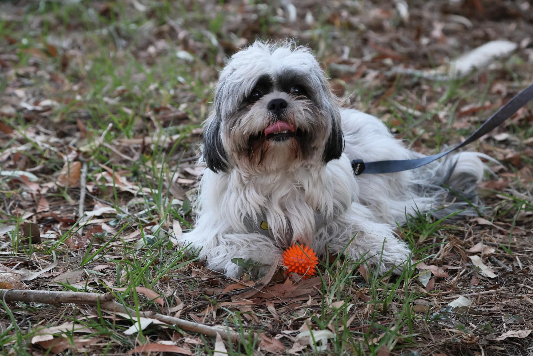 Canon EF 24-105mm f/4.0 L is USM Lens customer photo 2