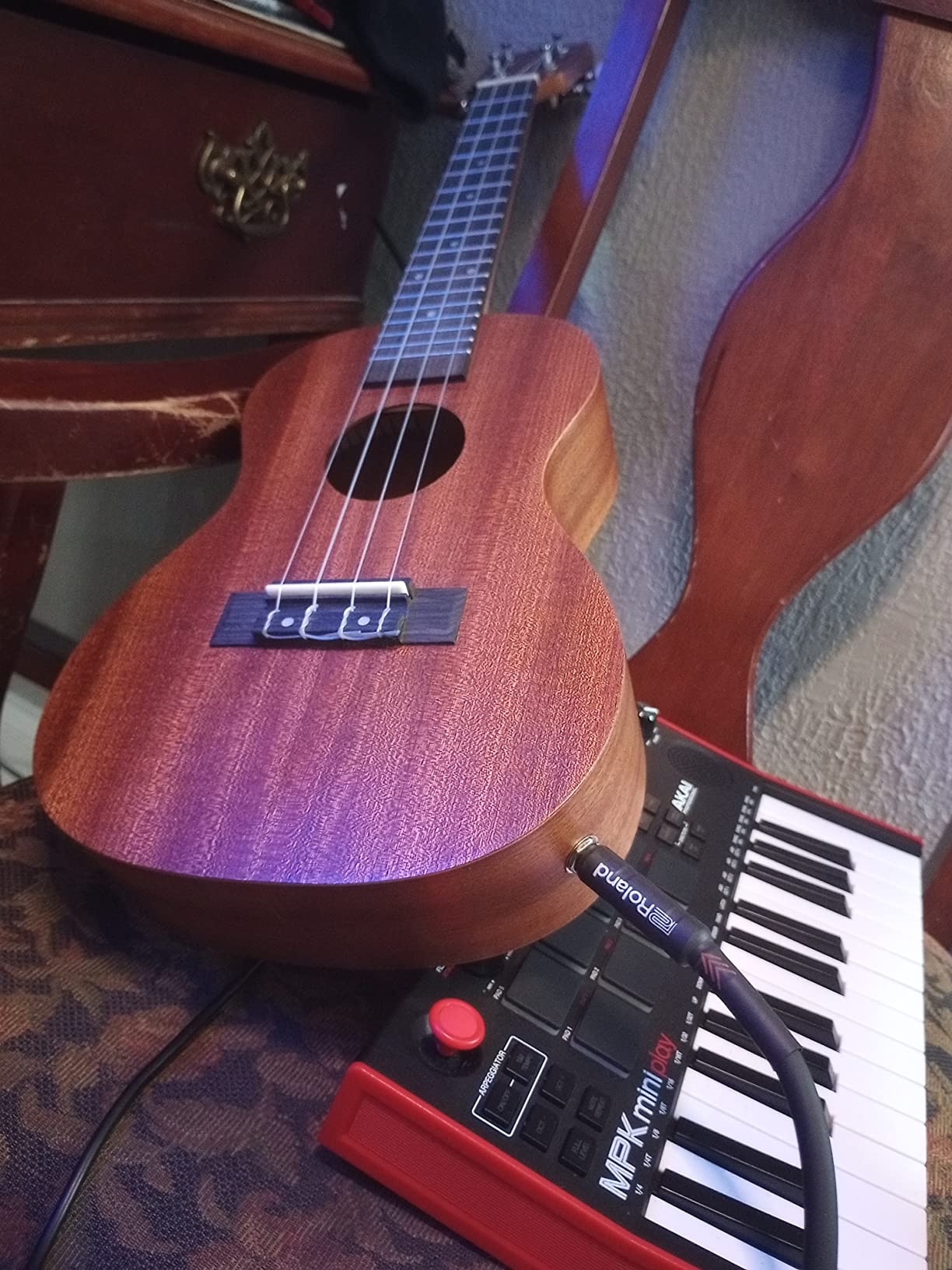 Kadence UKCE03C Concert 24 inch Electro Acoustic Ukulele | Mahogany Wood | Built-in 2-Band EQ Preamp customer photo 1