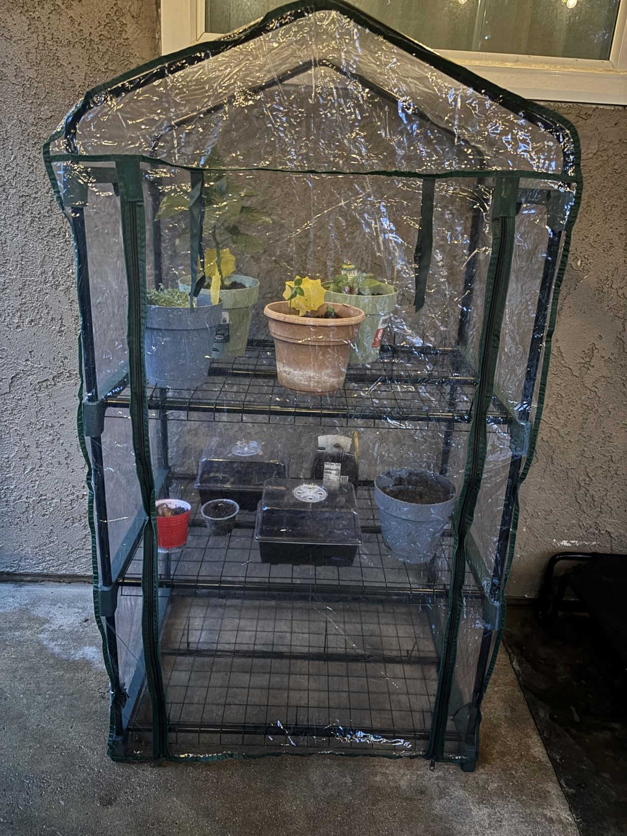 3 Tier Mini Greenhouse - Portable Greenhouse with Rust-Resistant Frame and PVC Cover for Indoor/Outdoor - 27.5x19x50-Inch Green House by Pure Garden customer photo 2