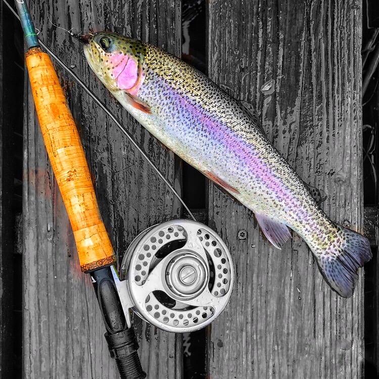 Maxcatch 3-12wt Medium-Fast Action Premier Fly Fishing Rod-IM8 Carbon Blank for High Performance, with AA Cork Grip Hard Chromed Guides customer photo 2
