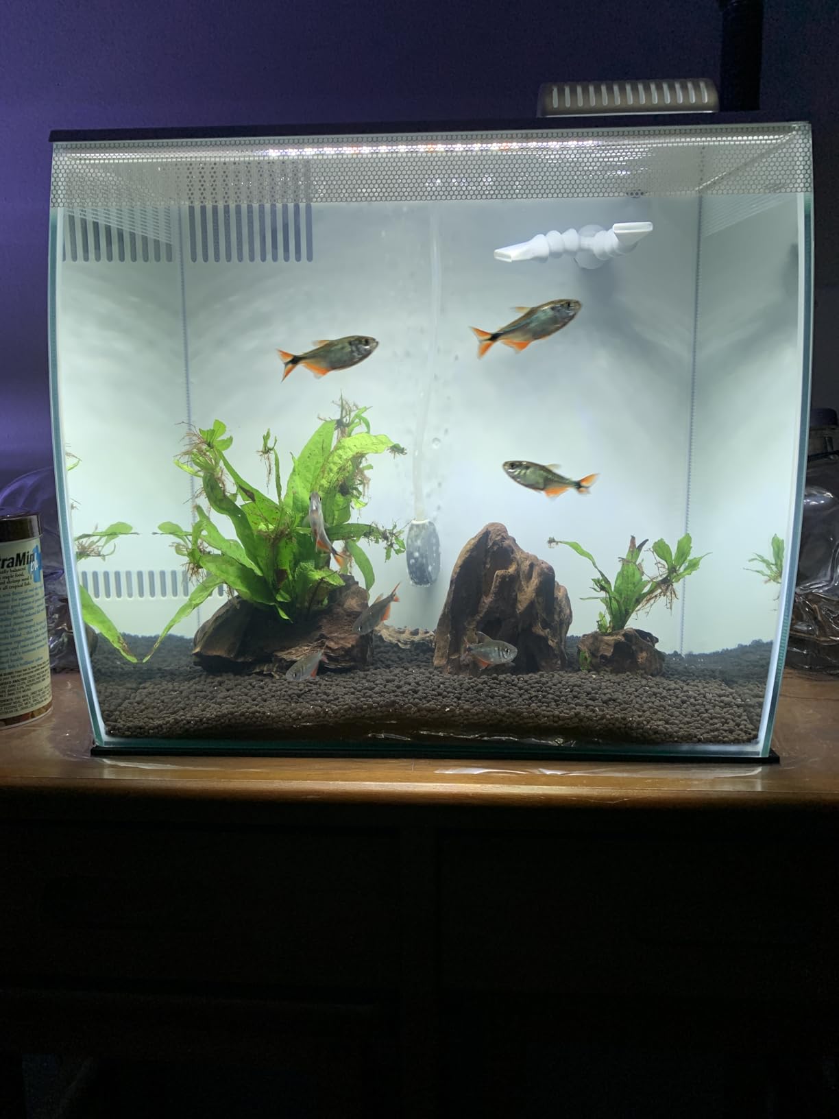 Hagen Flex Freshwater Kit - Black - 15 gal customer photo 1