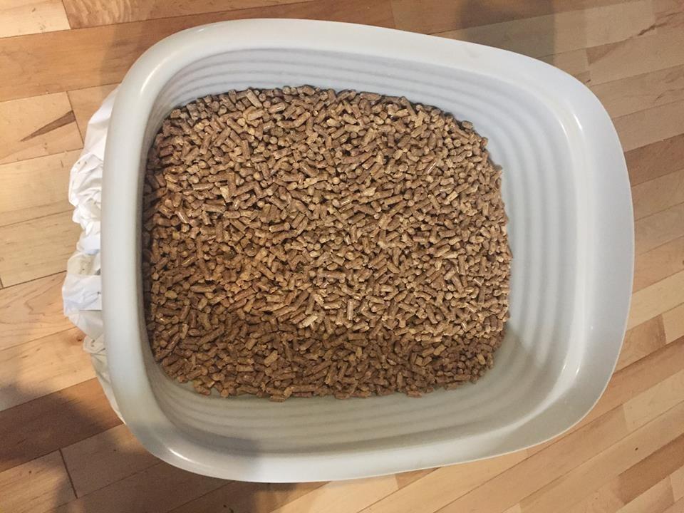 Arm & Hammer Large Sifting Litter Box Scoop Free Cat Litter Tray with Microban, Made in USA customer photo 2