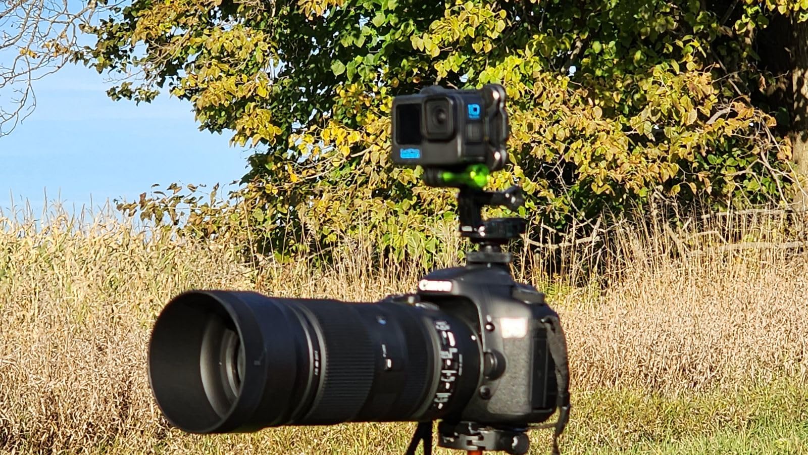 Sigma 100-400mm f/5-6.3 DG OS HSM Contemporary Lens for Canon EF customer photo 1