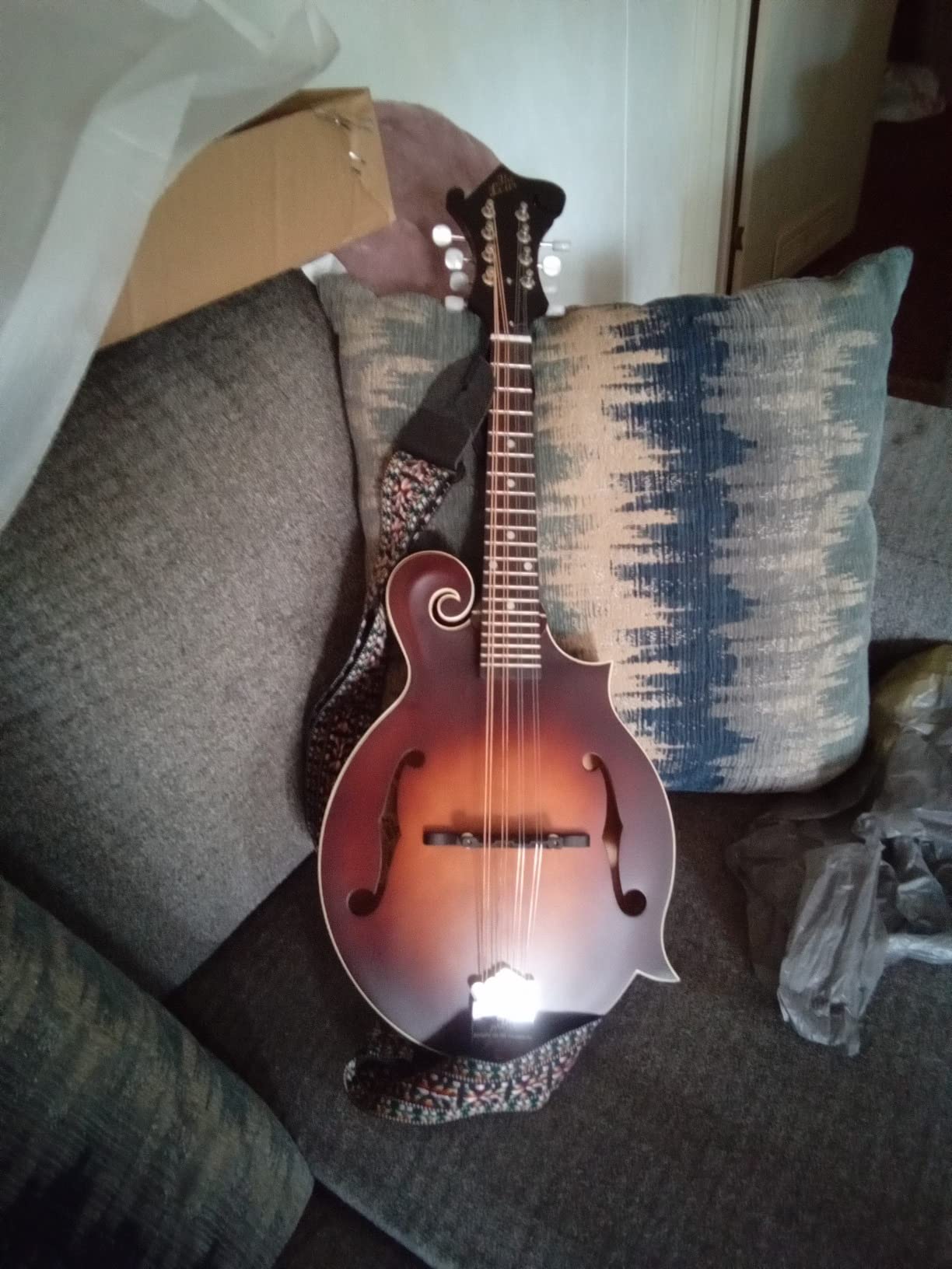 The Loar LM-310F-BRB Honey Creek F-Style Mandolin customer photo 1