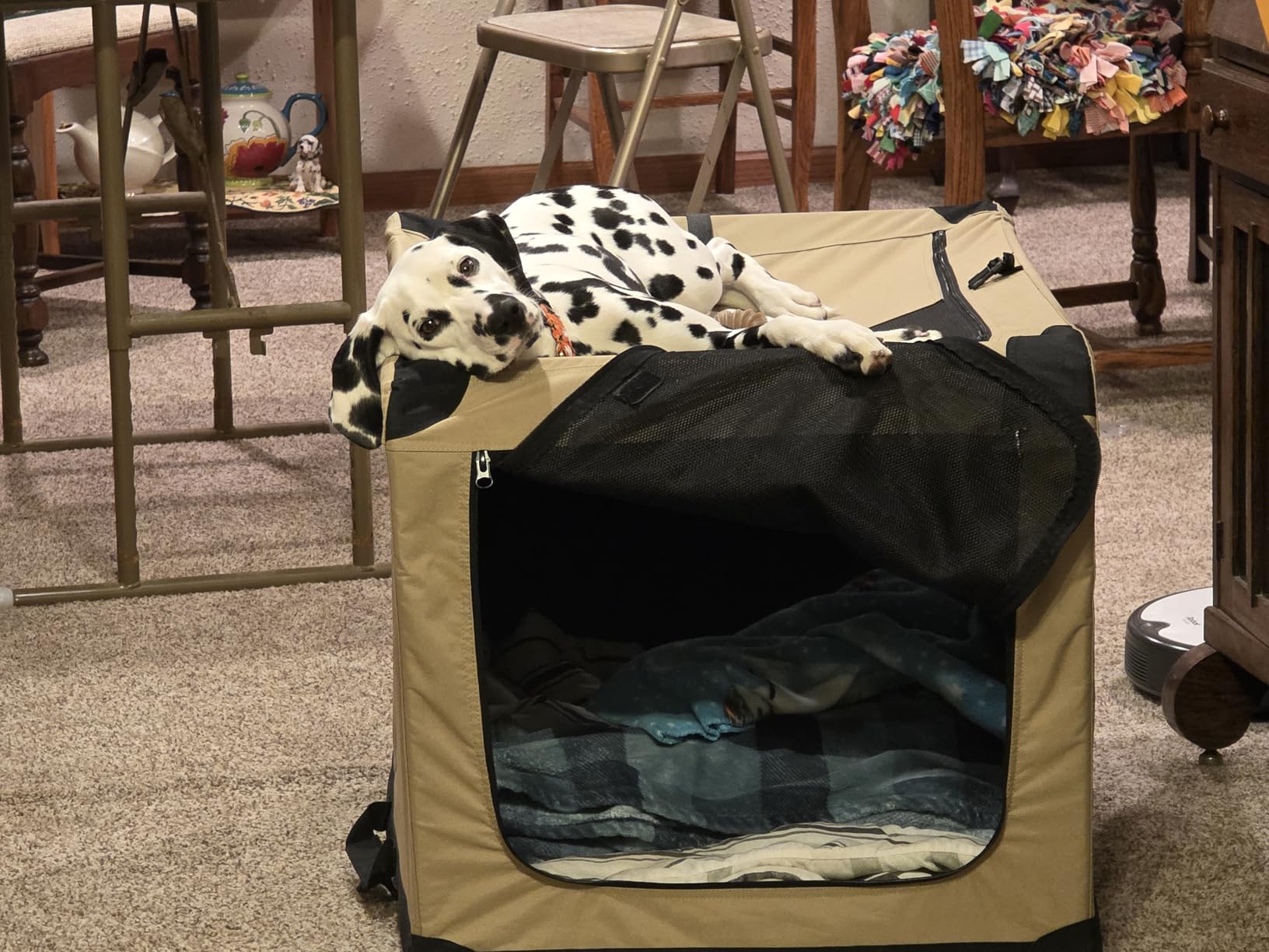 Amazon Basics Portable Folding Soft Dog Crate, Double Door, Collapsible Travel Kennel, Easy to Assemble, Medium, 29.92